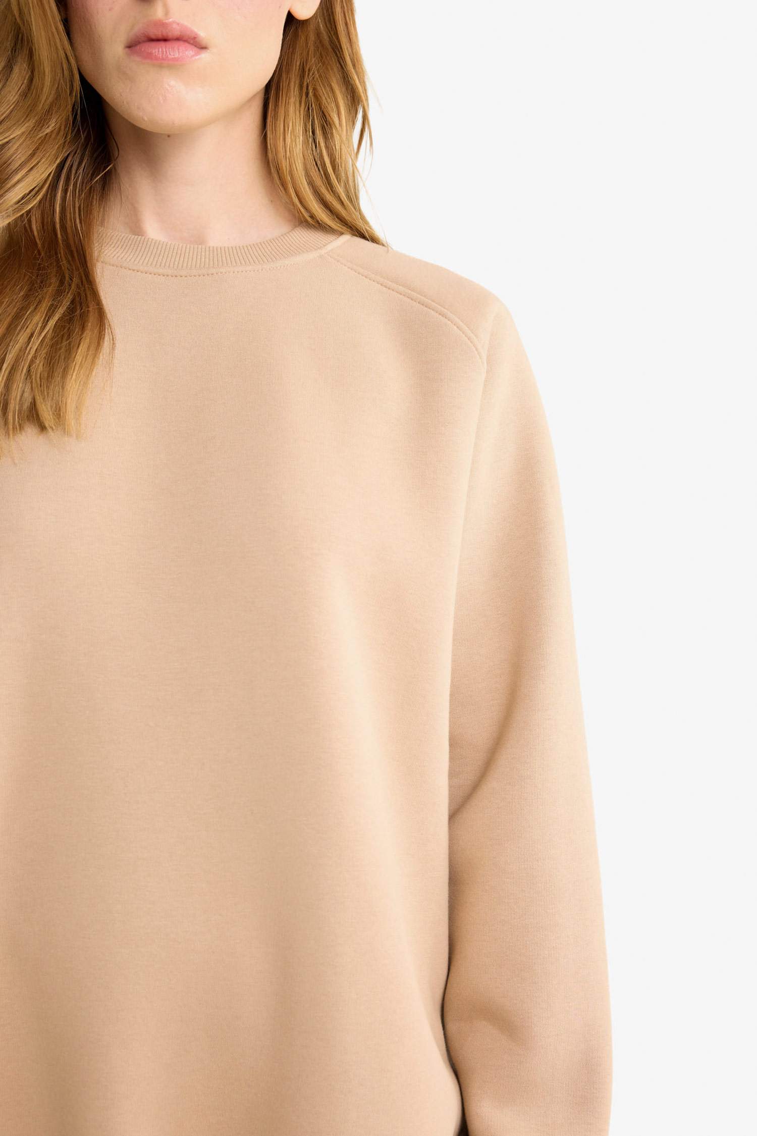Oversize Loose Fit Basic Thick Fabric Sweatshirt