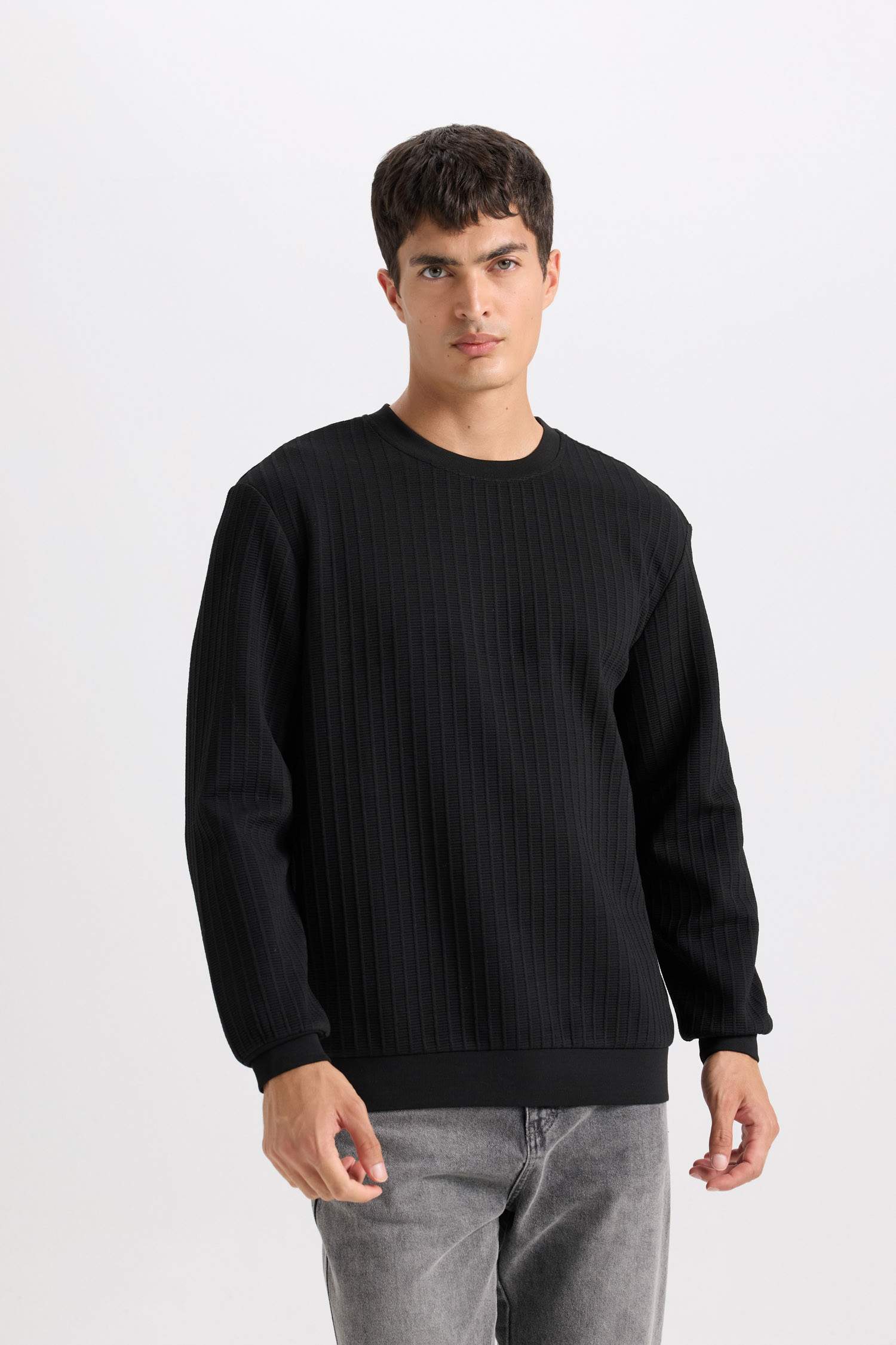 Regular Fit Bisiklet Yaka Jakarlı Basic Düz Sweatshirt