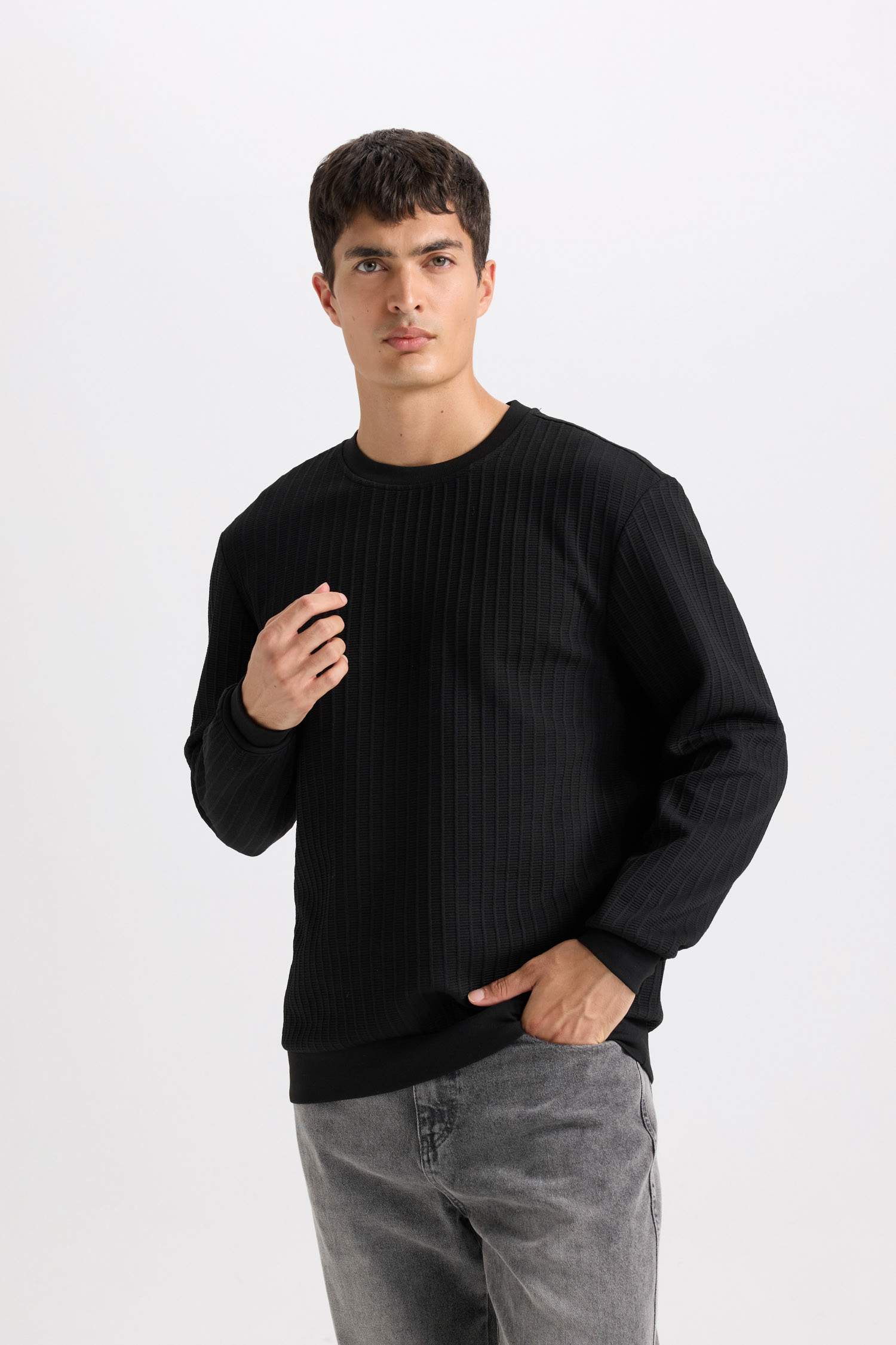 Regular Fit Bisiklet Yaka Jakarlı Basic Düz Sweatshirt