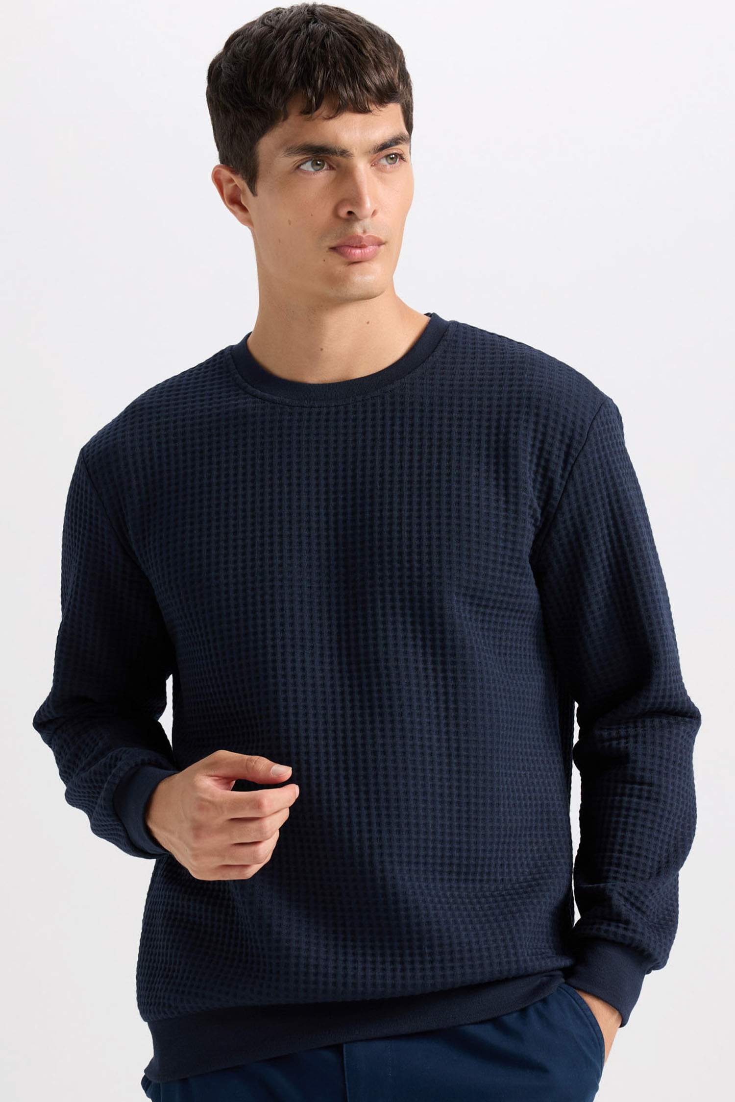 Regular Fit Crew Neck Jacquard Sweatshirt