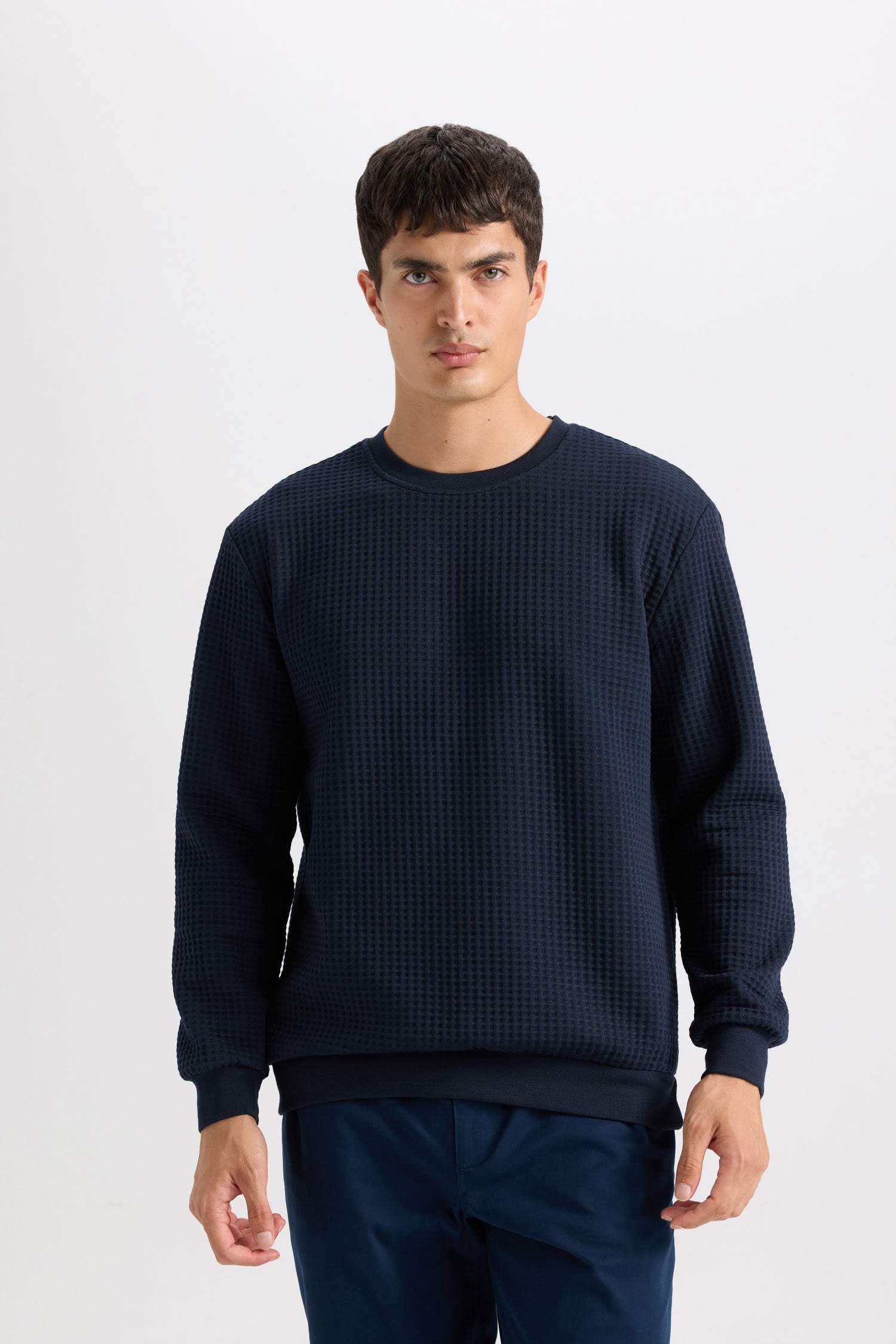 Regular Fit Crew Neck Jacquard Sweatshirt