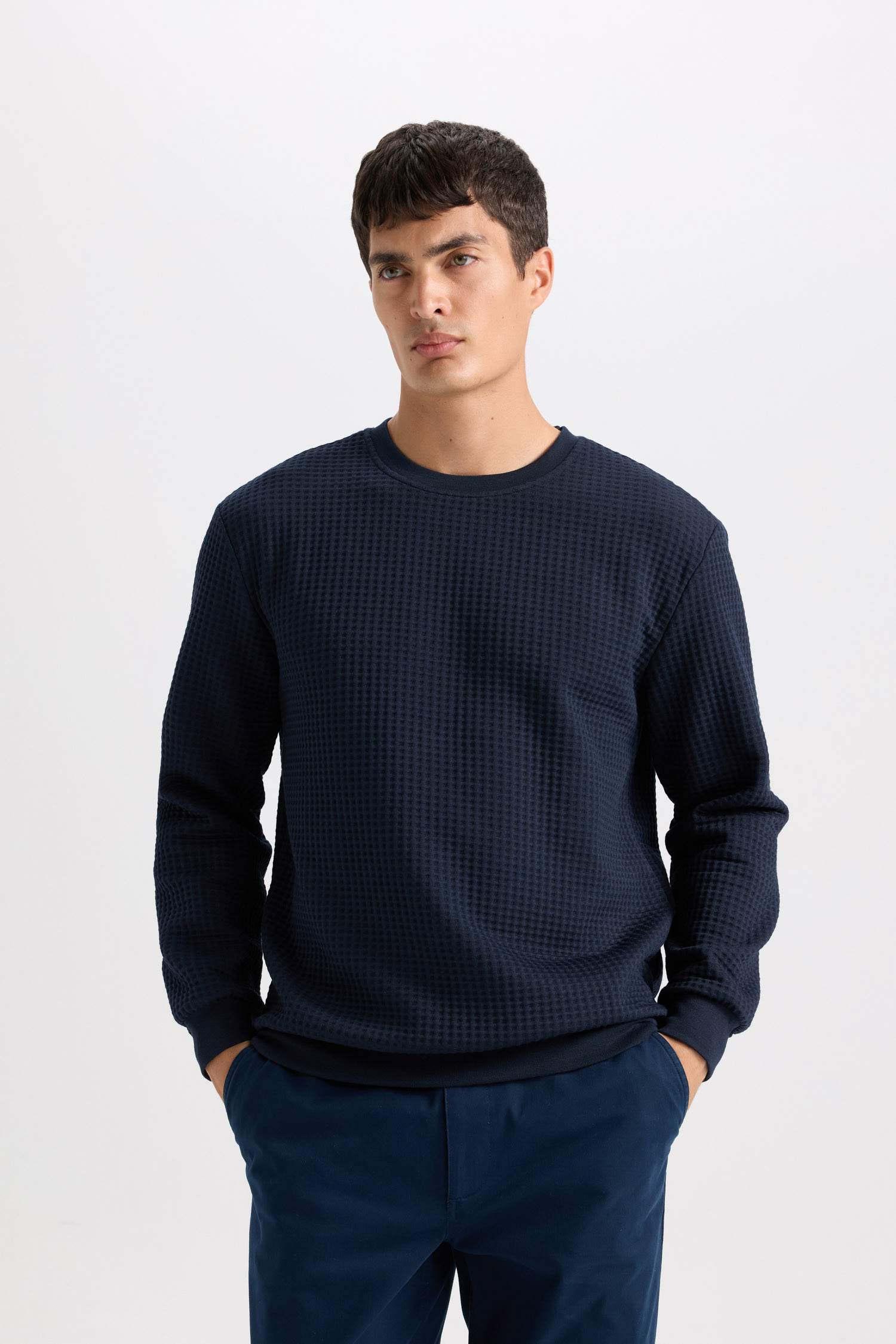Regular Fit Crew Neck Jacquard Sweatshirt