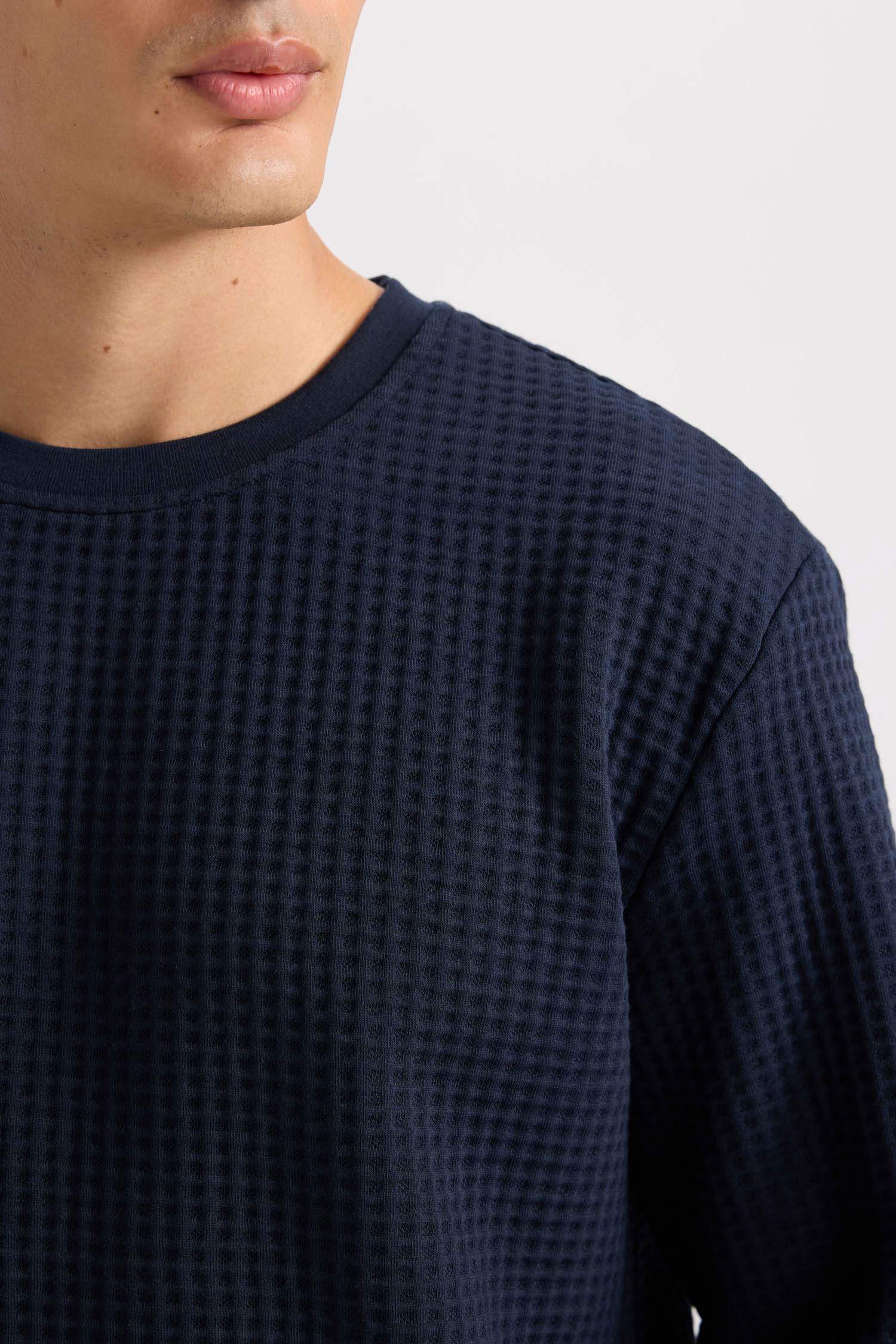 Regular Fit Crew Neck Jacquard Sweatshirt