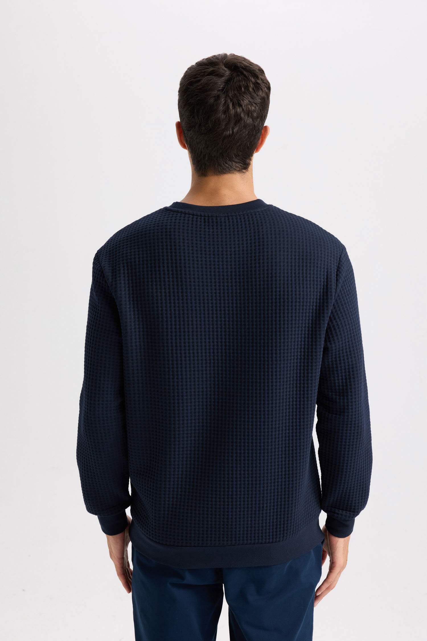 Regular Fit Crew Neck Jacquard Sweatshirt