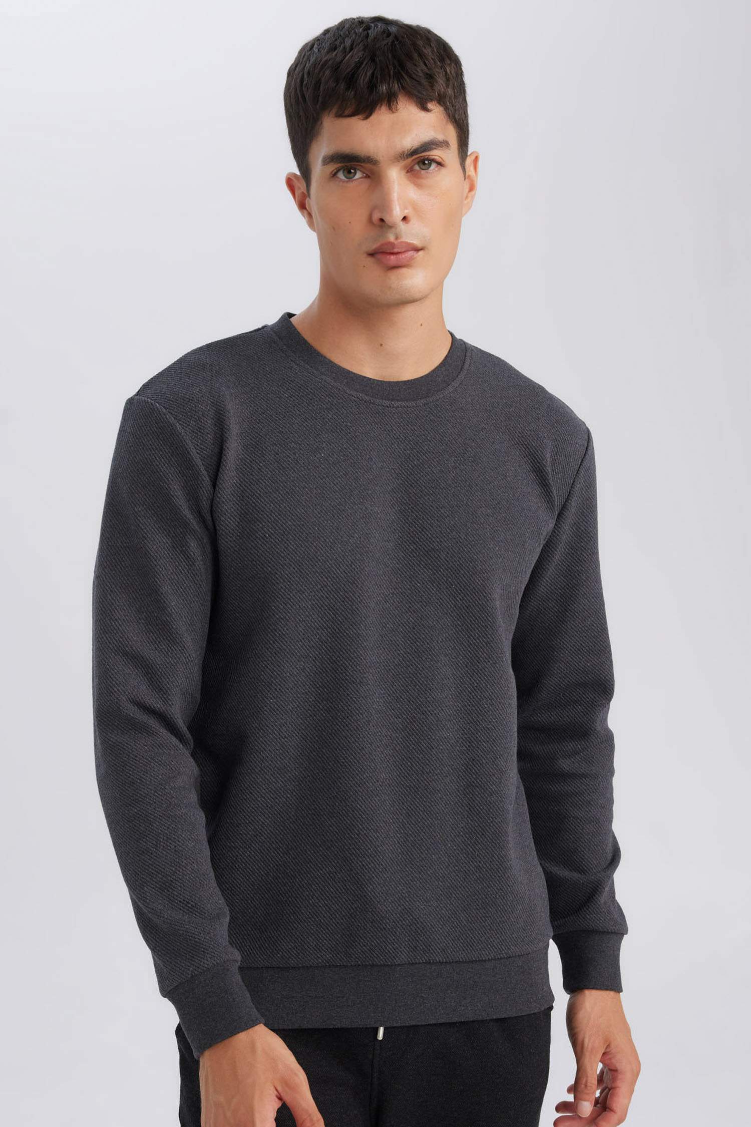 Regular Fit Bisiklet Yaka Jakarlı Sweatshirt