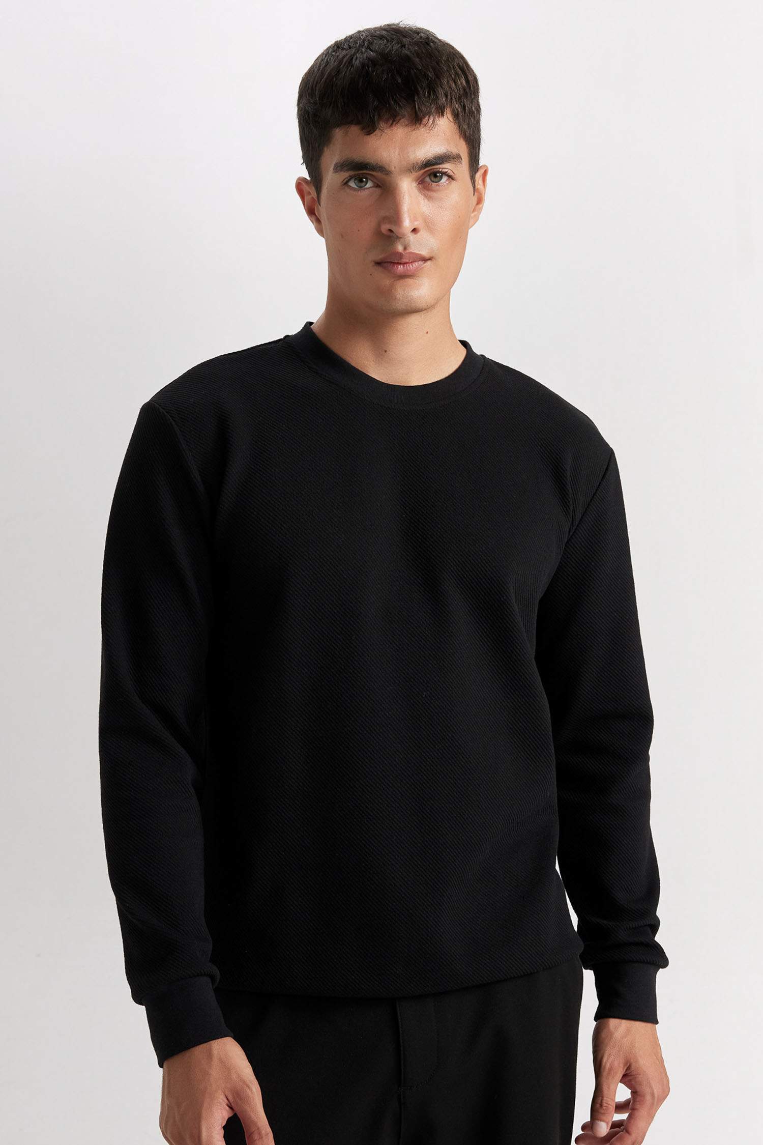 Regular Fit Bisiklet Yaka Jakarlı Sweatshirt