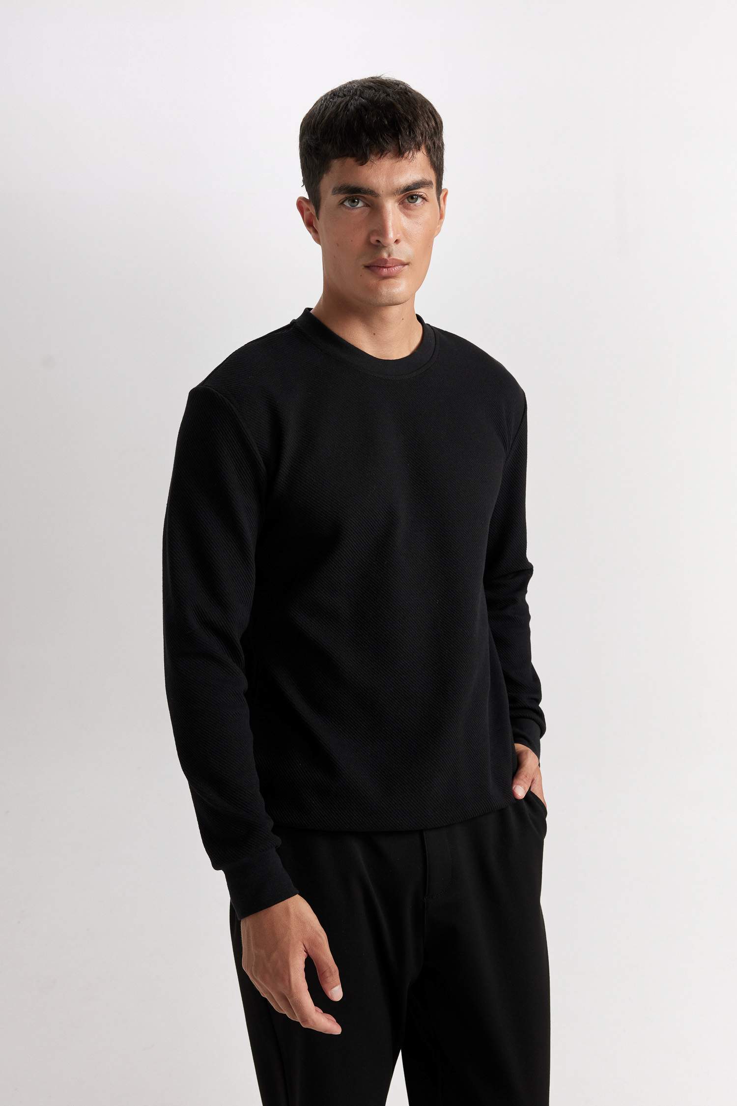 Regular Fit Bisiklet Yaka Jakarlı Sweatshirt