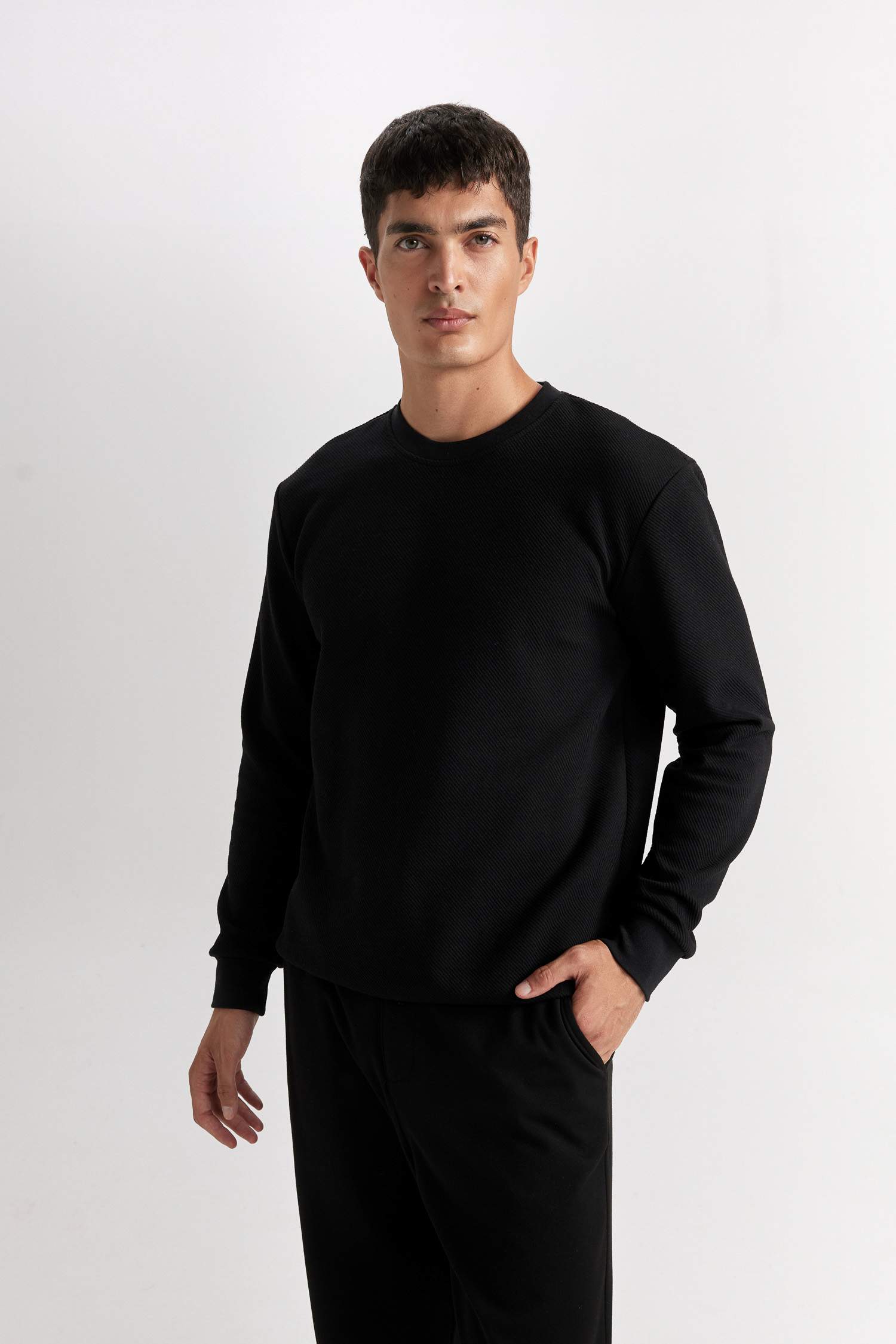 Regular Fit Bisiklet Yaka Jakarlı Sweatshirt