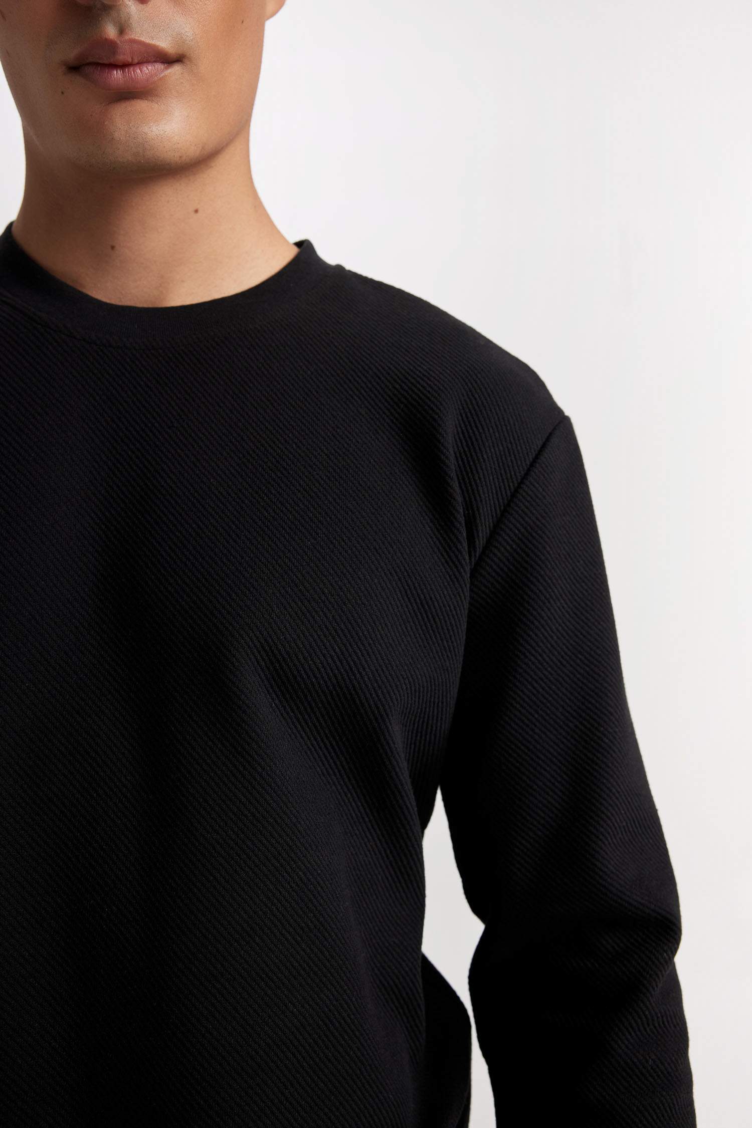 Regular Fit Bisiklet Yaka Jakarlı Sweatshirt