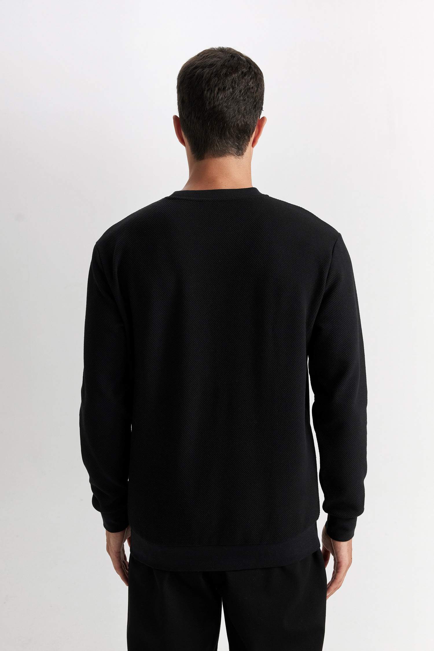 Regular Fit Bisiklet Yaka Jakarlı Sweatshirt