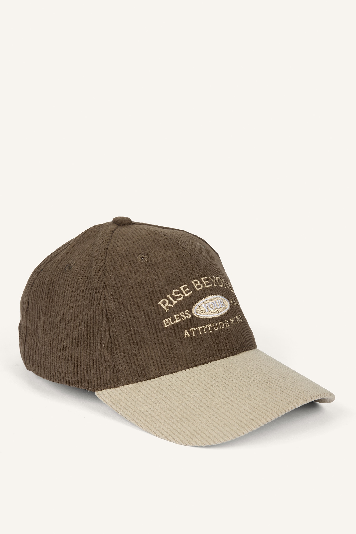 DeFacto Erkek Kadife Cap Şapka görsel 2