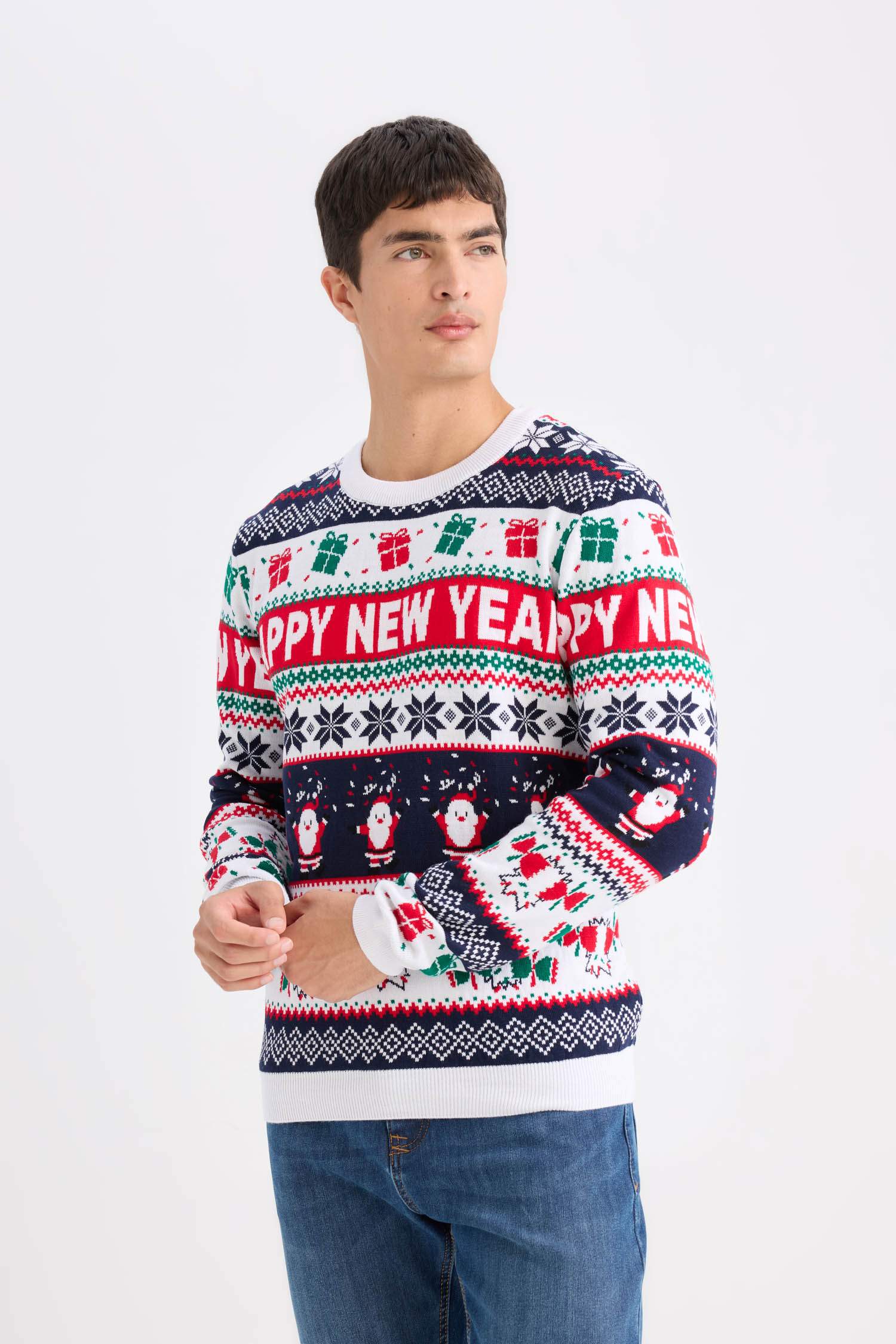 Standard Fit Christmas Themed Crew Neck Knitted Pullover