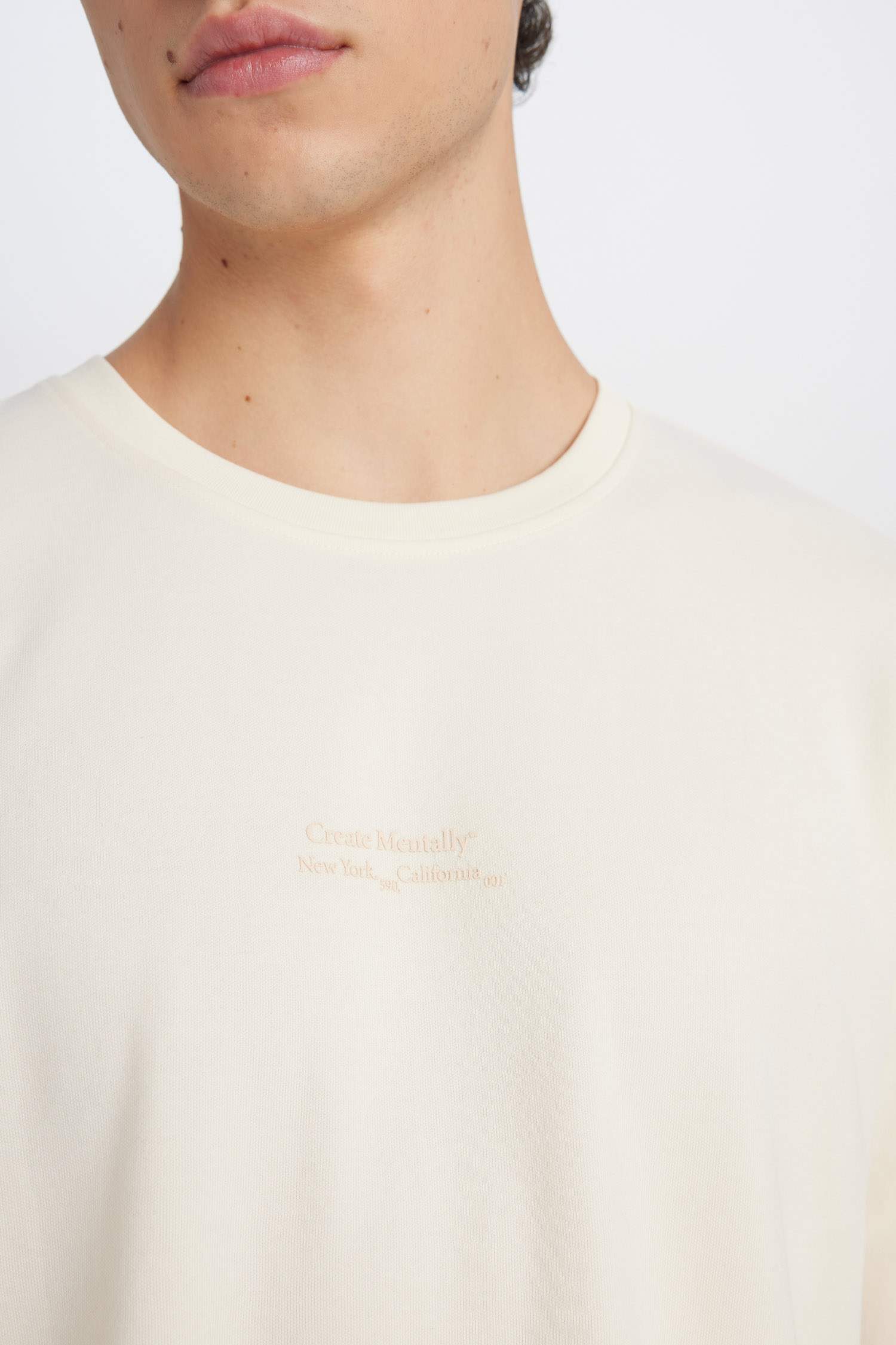 Boxy Fit Bisiklet Yaka Baskılı Kısa Kollu Ağır Kumaş Tişört