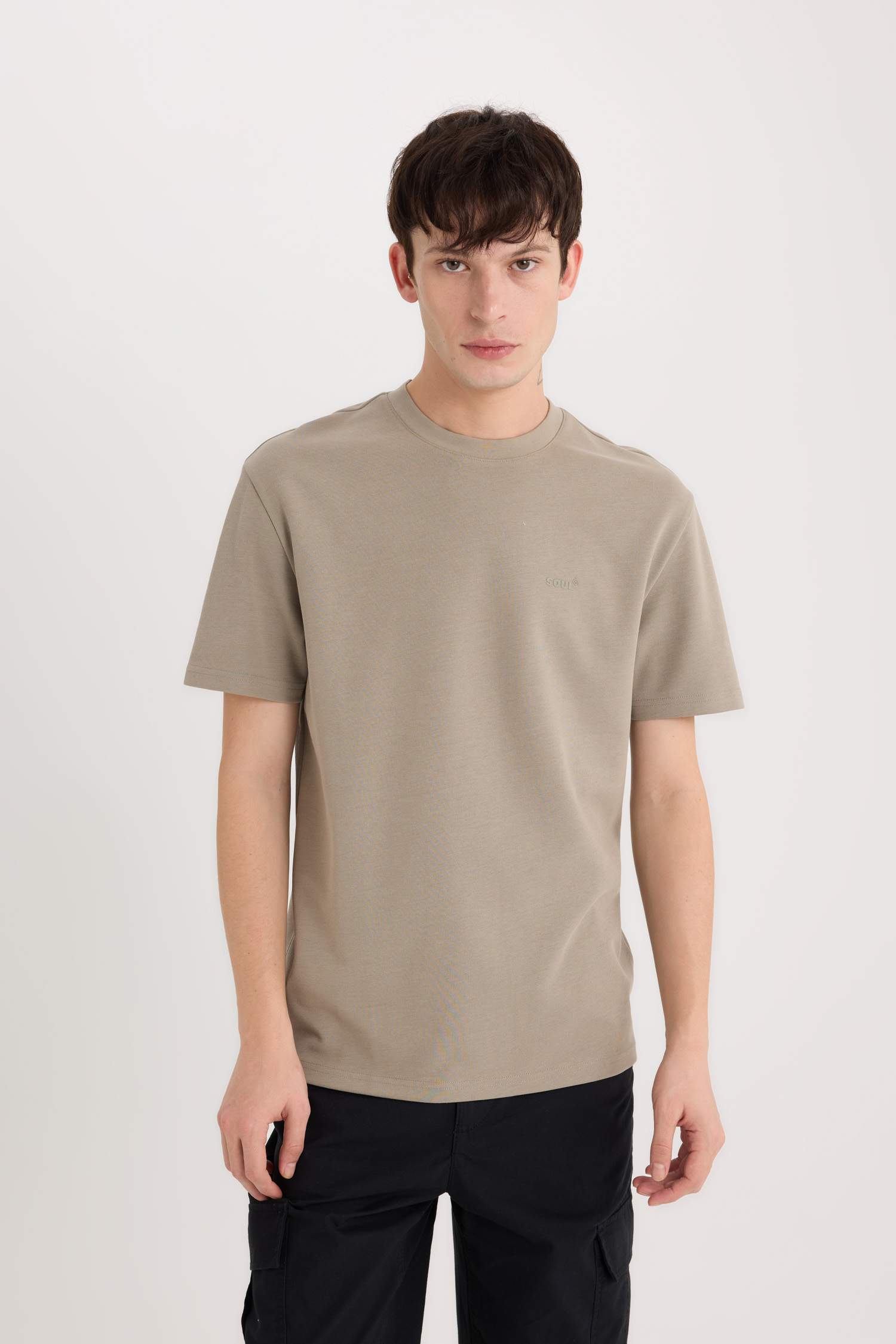 Regular Fit Bisiklet Yaka Ütü Gerektirmeyen Nefes Alabilen Baskılı Kısa Kollu Ağır Kumaş Tişört