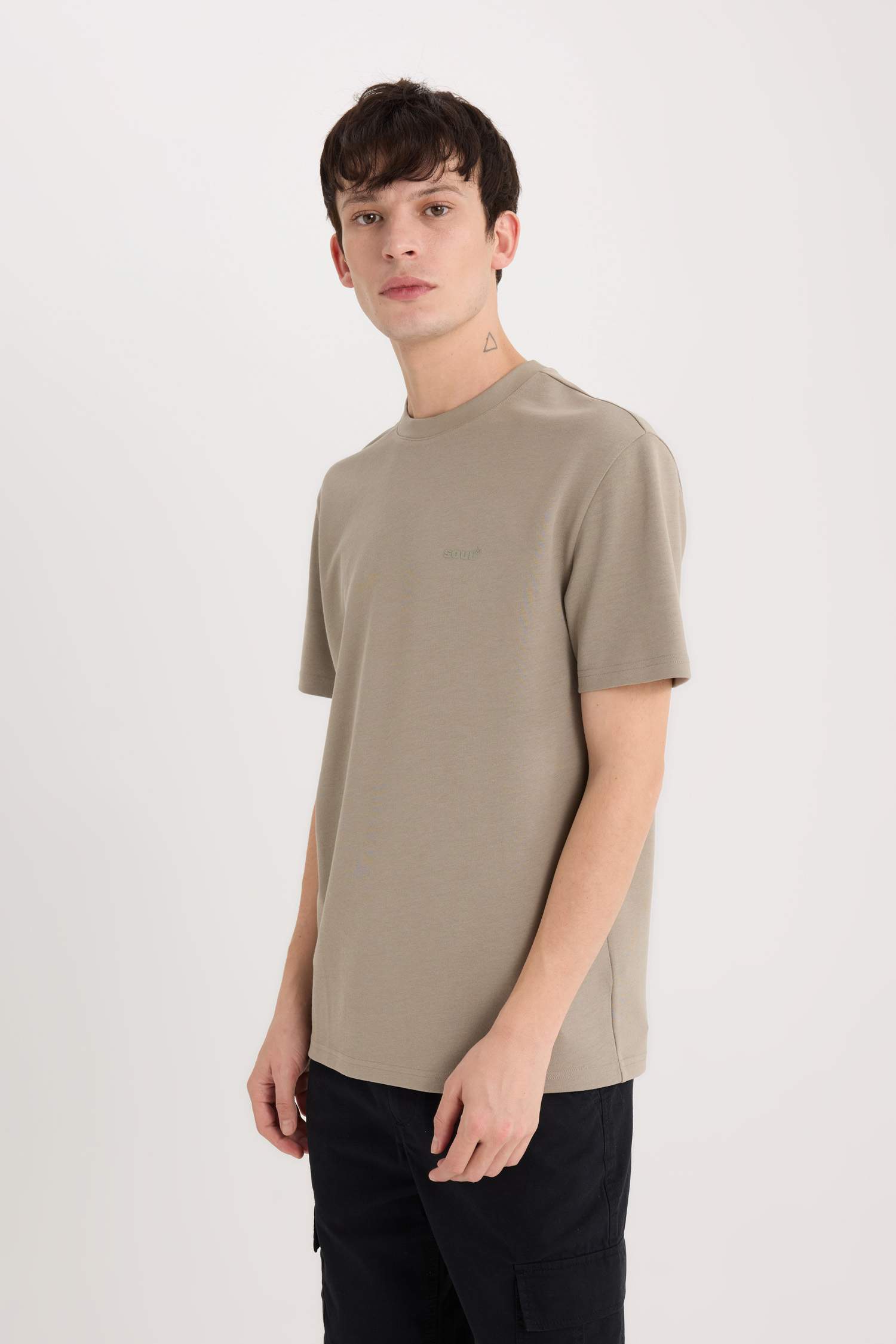 Regular Fit Bisiklet Yaka Ütü Gerektirmeyen Nefes Alabilen Baskılı Kısa Kollu Ağır Kumaş Tişört