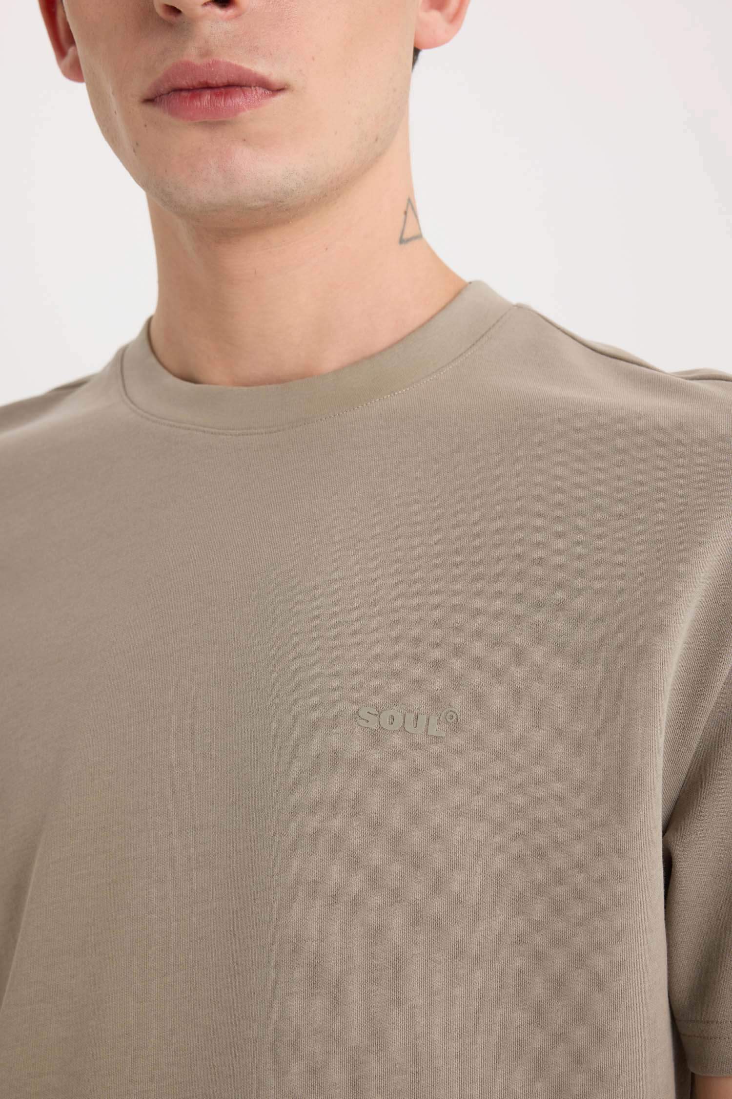 Regular Fit Bisiklet Yaka Ütü Gerektirmeyen Nefes Alabilen Baskılı Kısa Kollu Ağır Kumaş Tişört