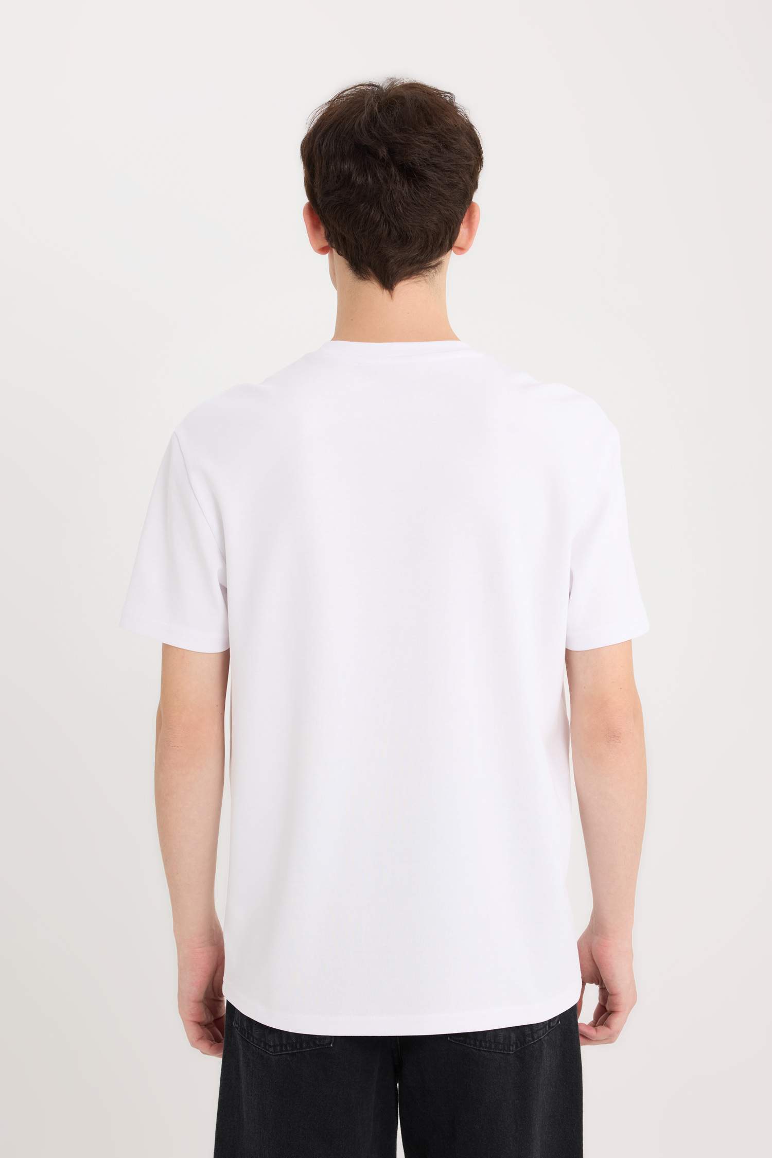 Стандартный крой футболка с круглым вырезом, короткими рукавами и тяжелой тканью с принтом