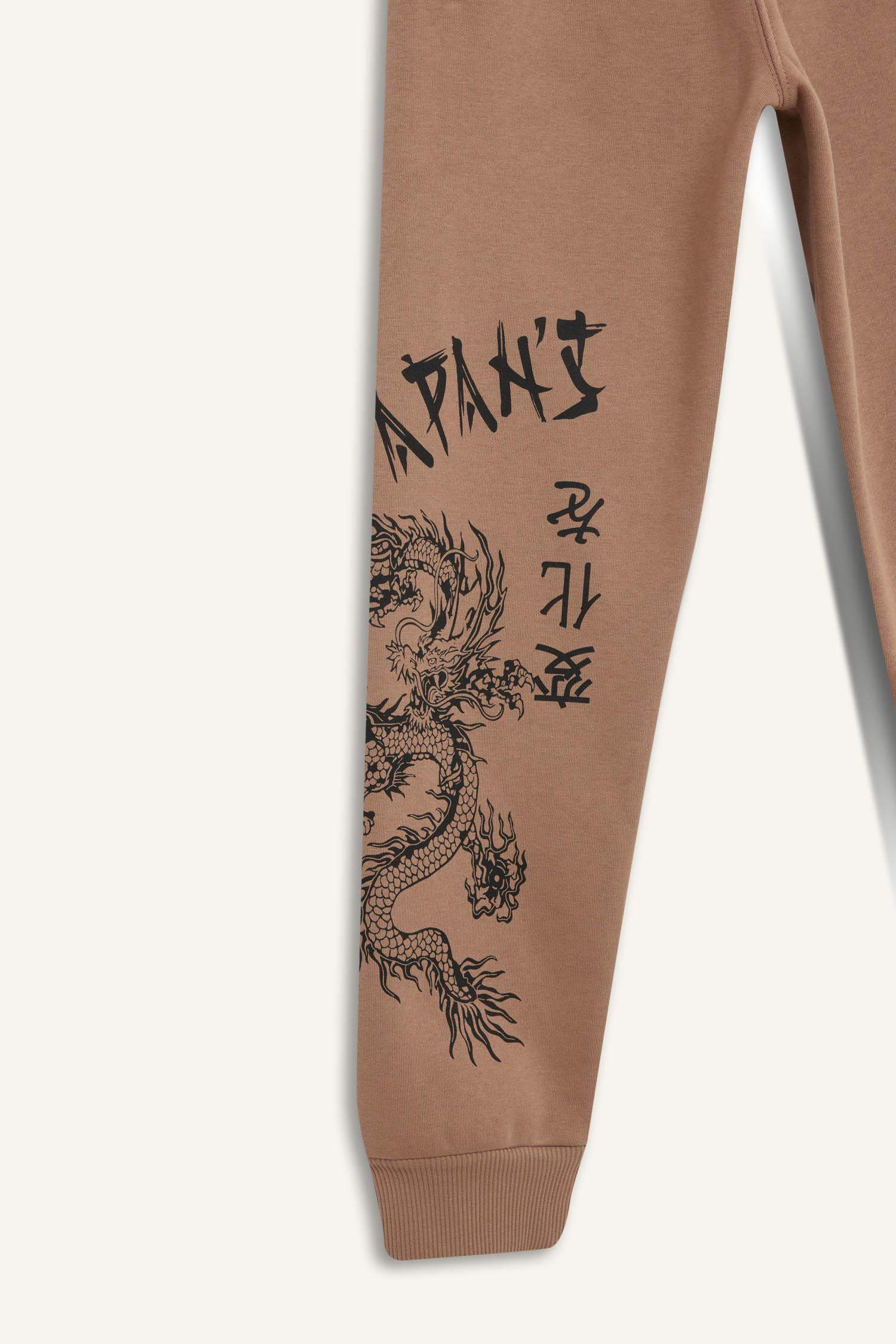 Boy Standard Fit Waist Elastic Thick Jogger Sweatpants