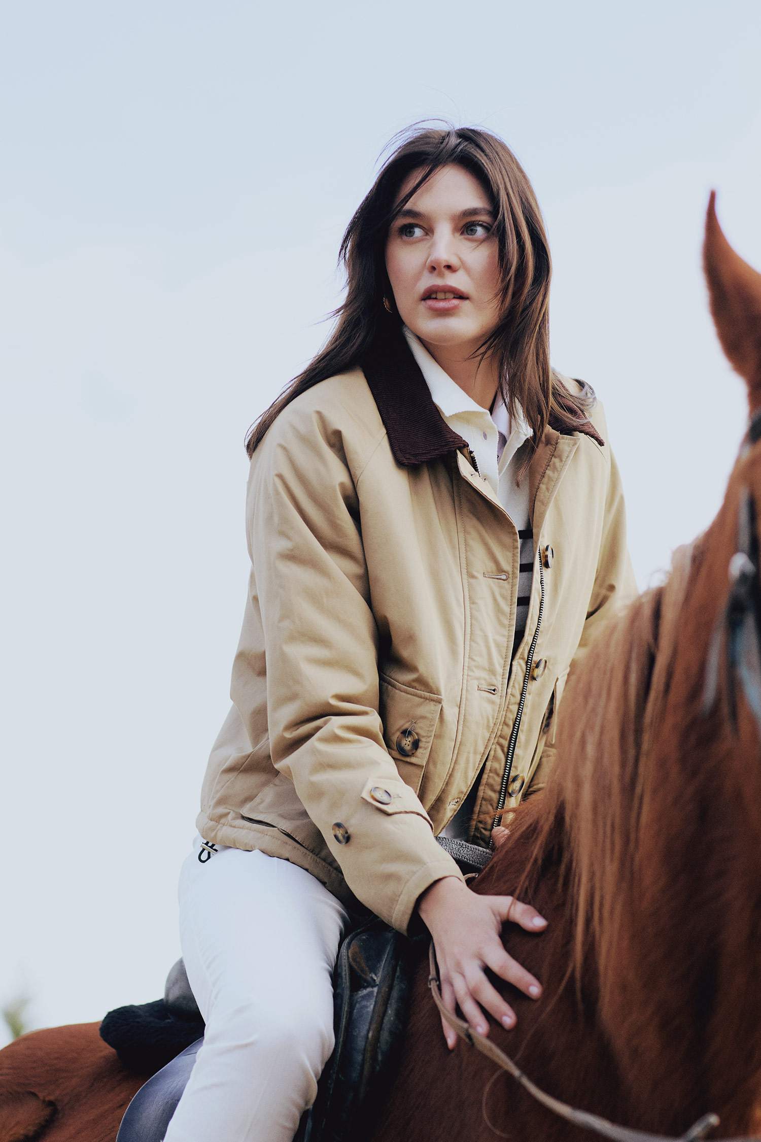 جاكيت خفيف قطن قصة عادية بياخة بولو