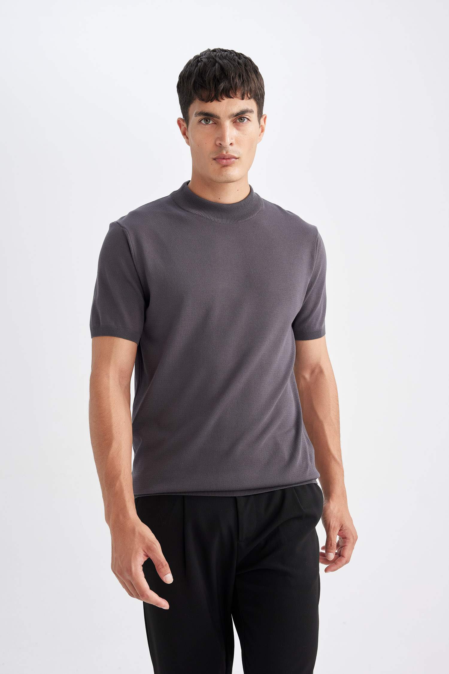 Standart Fit Bisiklet Yaka Triko Kısa Kollu Tişört