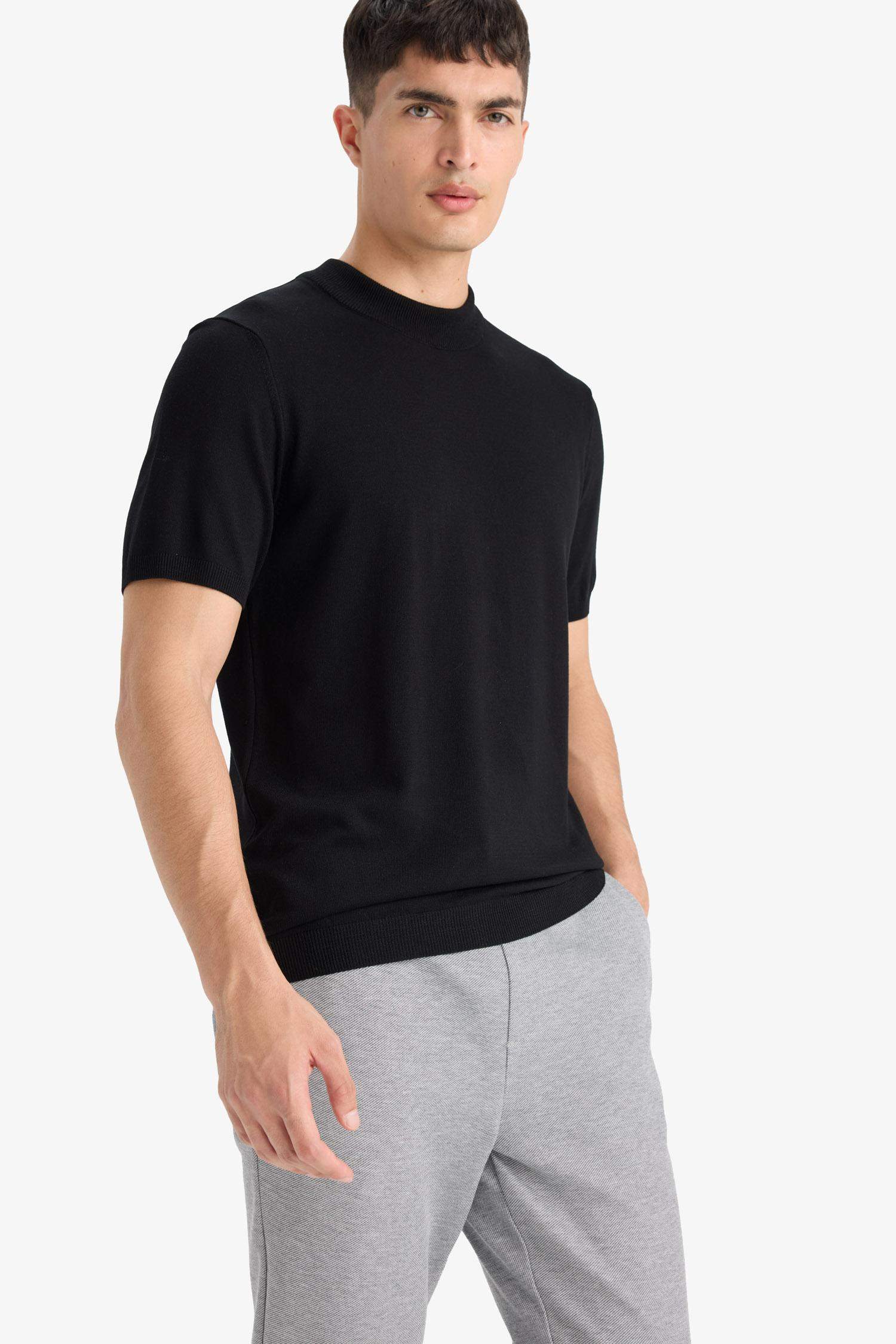 Standart Fit Bisiklet Yaka Triko Kısa Kollu Tişört