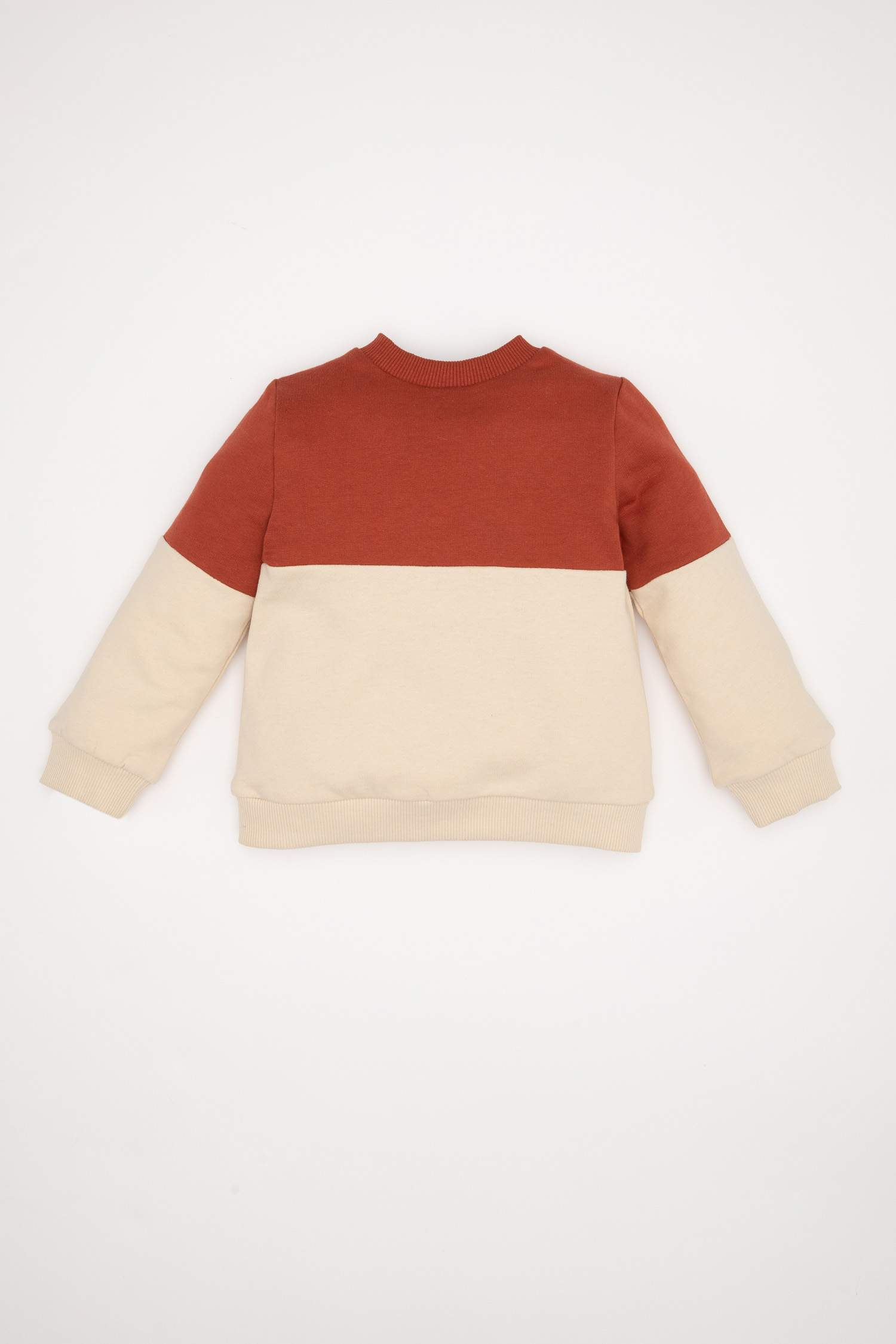 Erkek Bebek  Bisiklet Yaka Renk Bloklu İçi Yumuşak Tüylü Sweatshirt