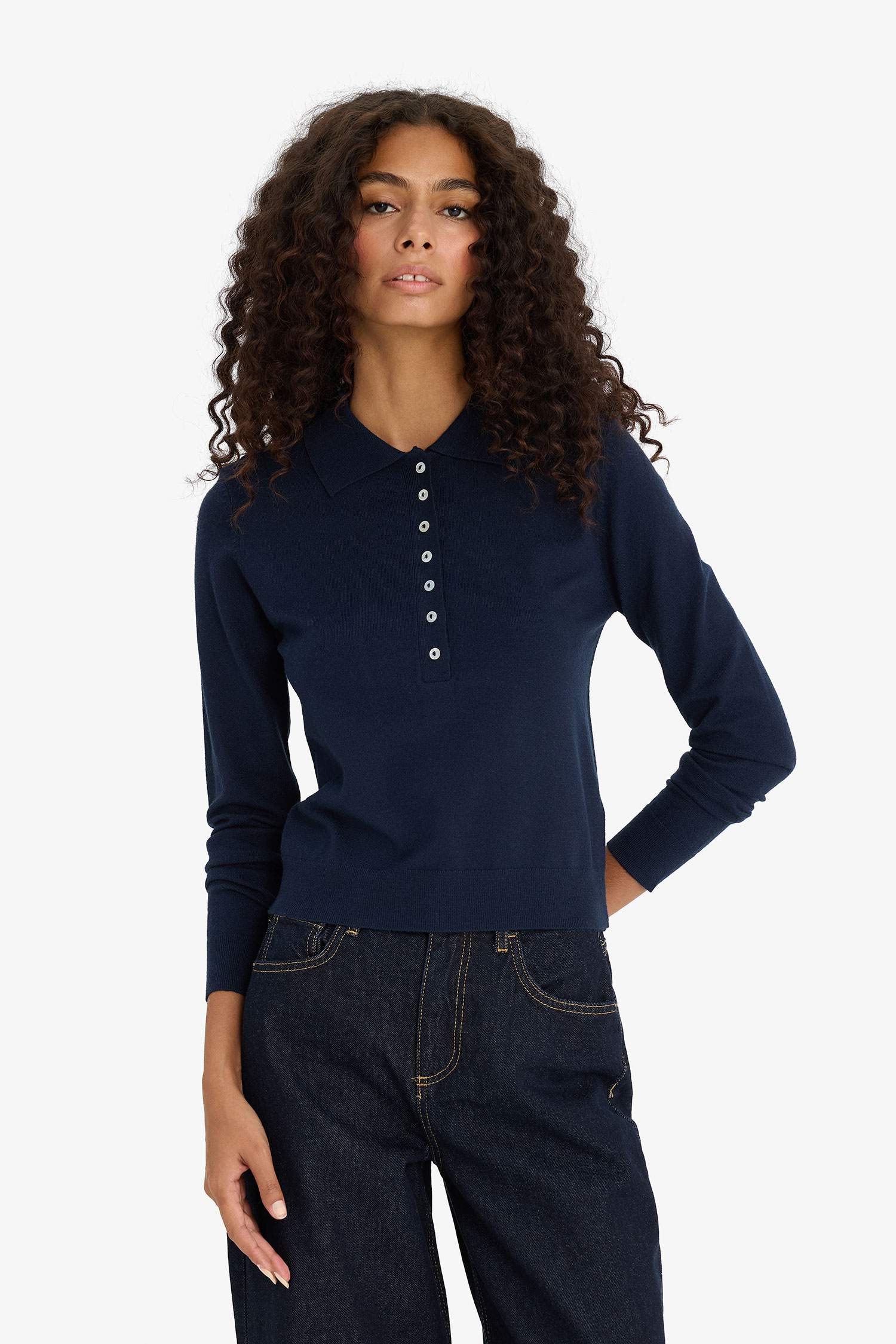 Regular Fit Polo Yaka Basic Düz Triko Kazak