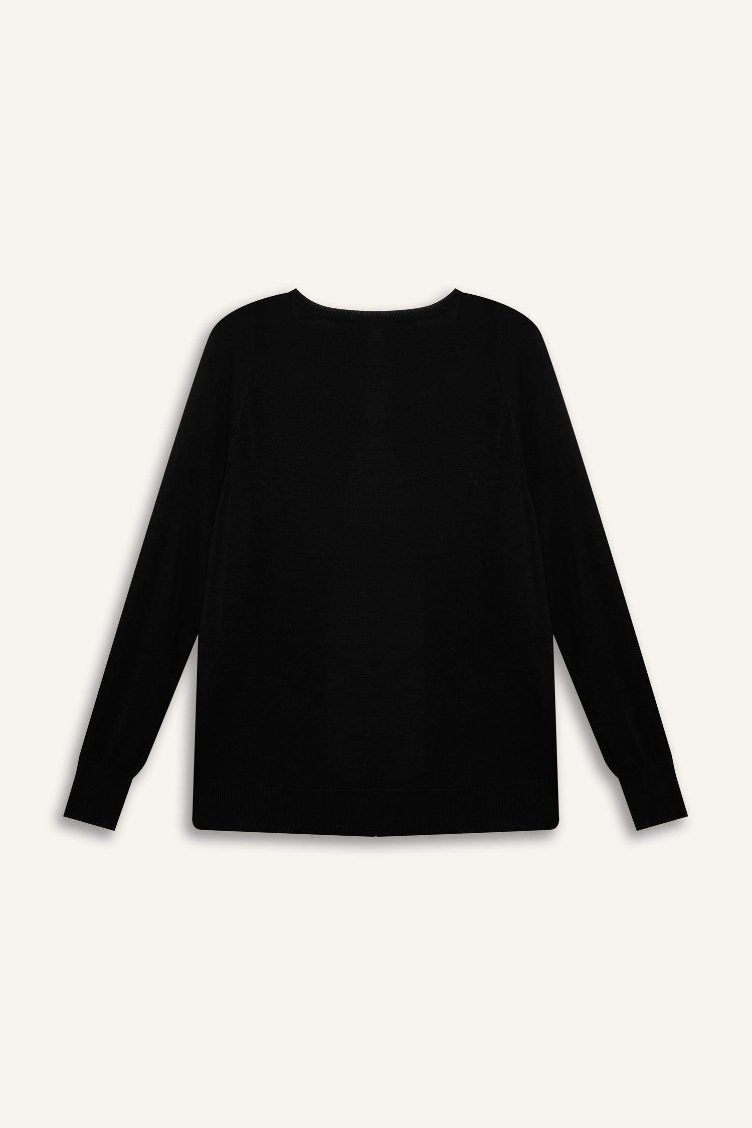 Regular Fit Crew Neck Pullover