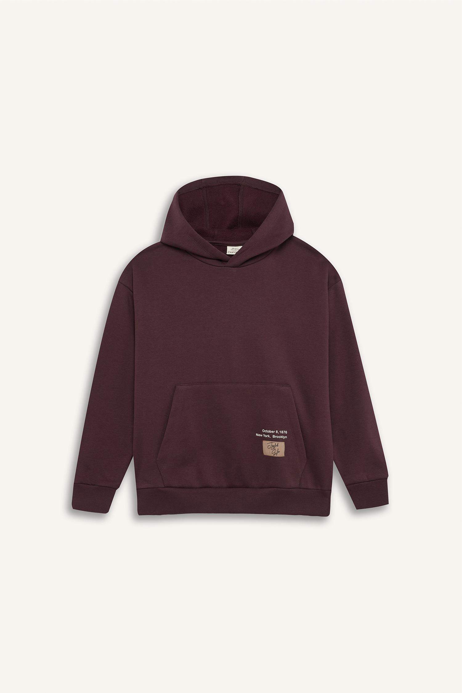 Boy Hooded Printed Pocket Sweatshirt