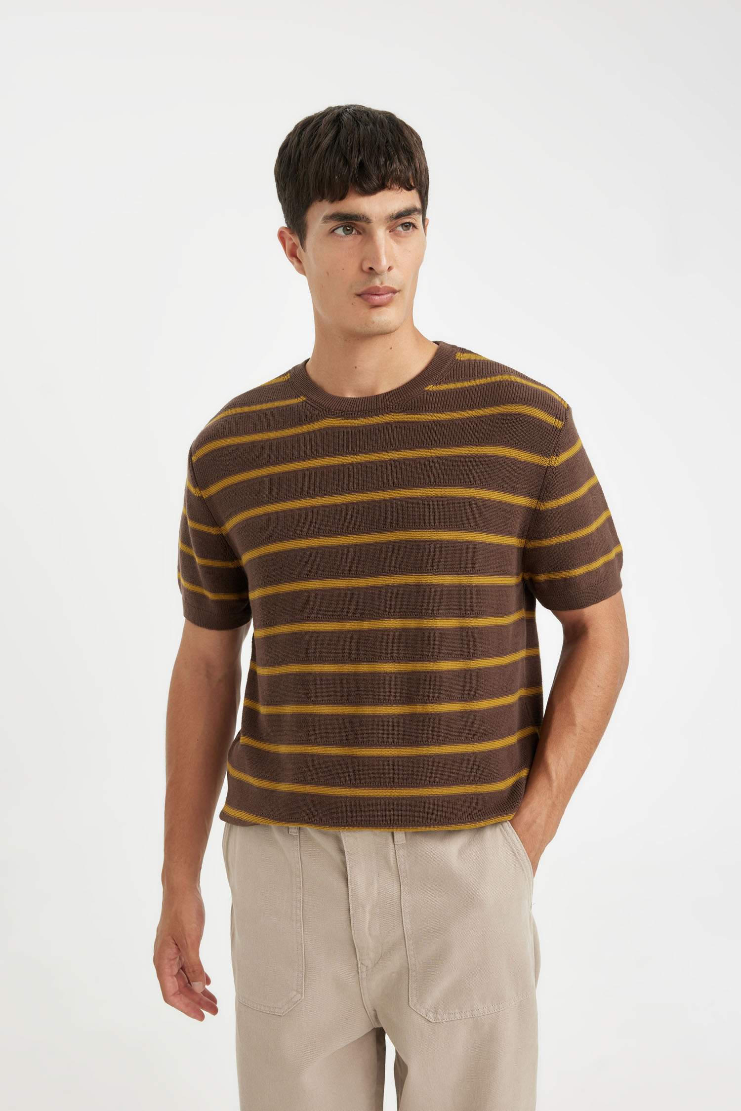 Standard Fit Crew Neck Cotton Striped T-Shirt