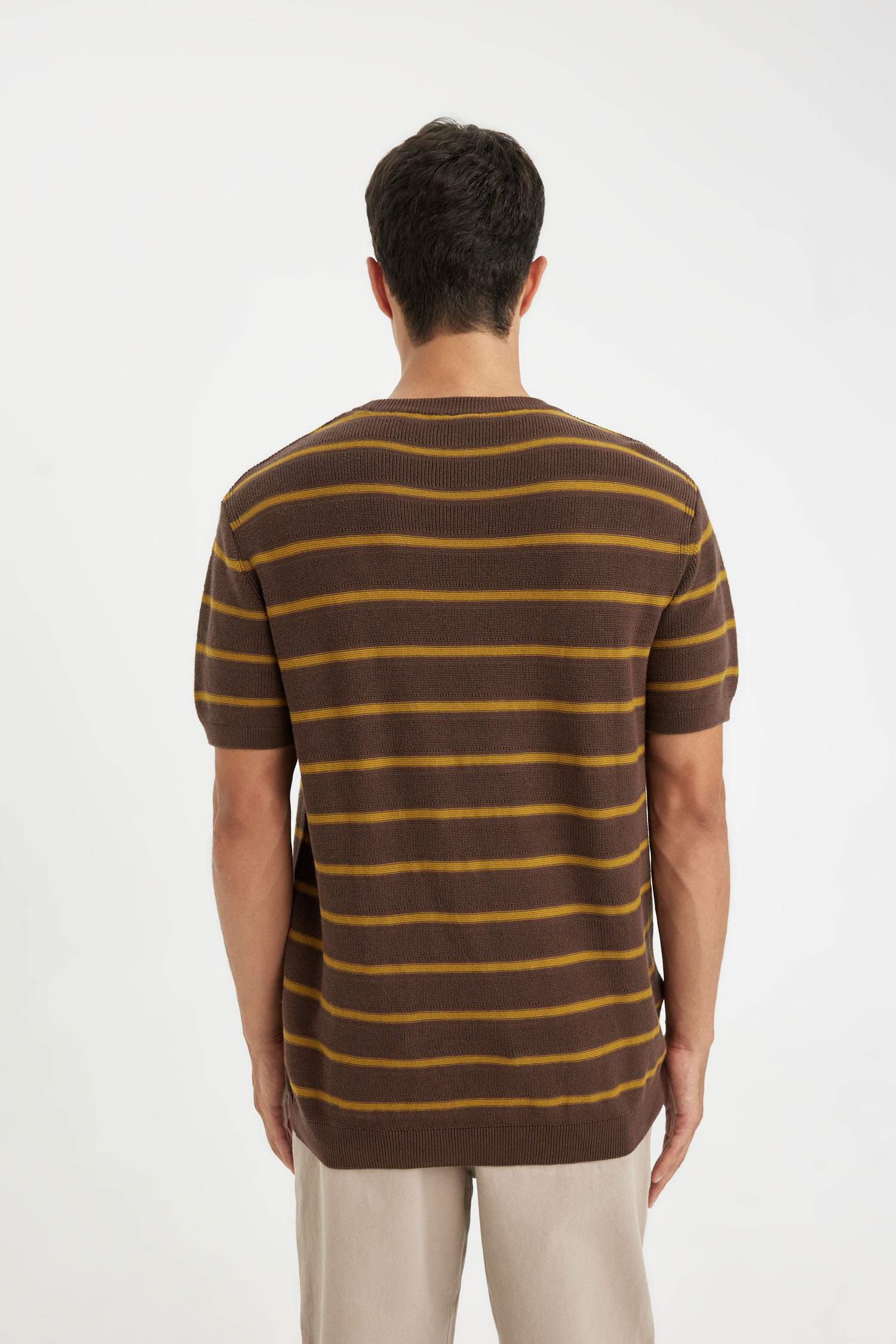 Standard Fit Crew Neck Cotton Striped T-Shirt