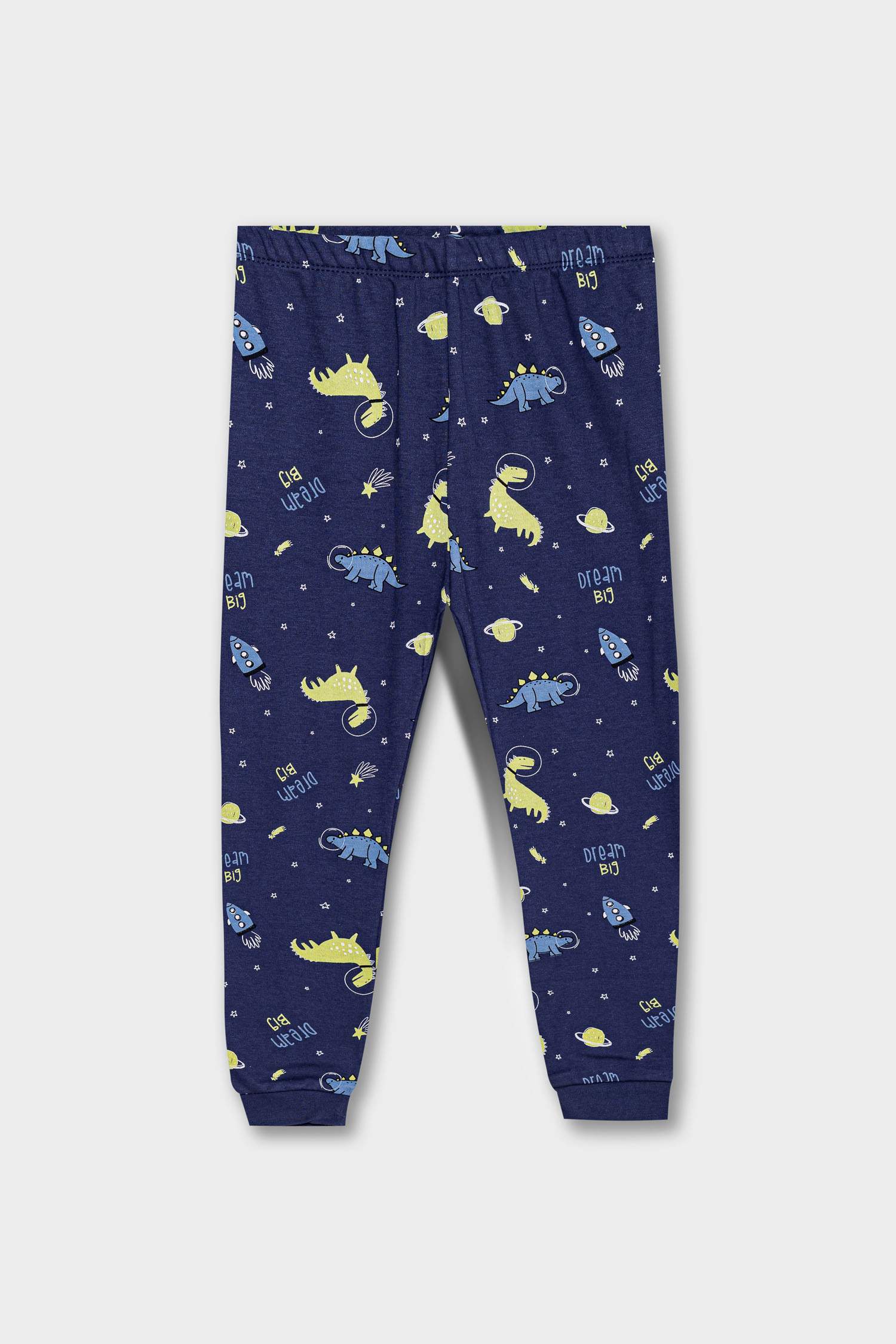 Baby Boy Dinosaur Printed 2 Piece Pajama Set