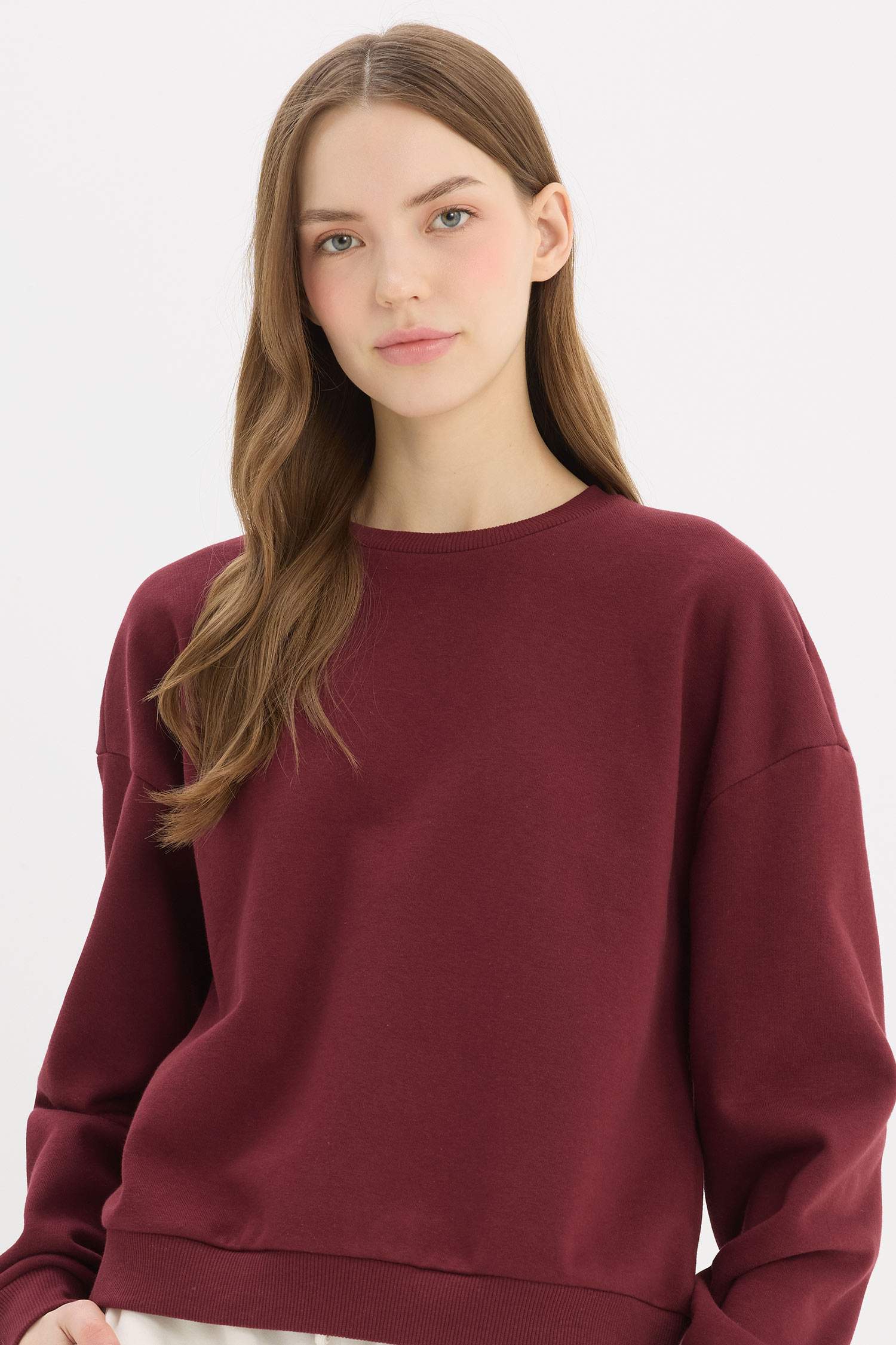 Regular Fit Crew Neck Thick Basic Sweatshir