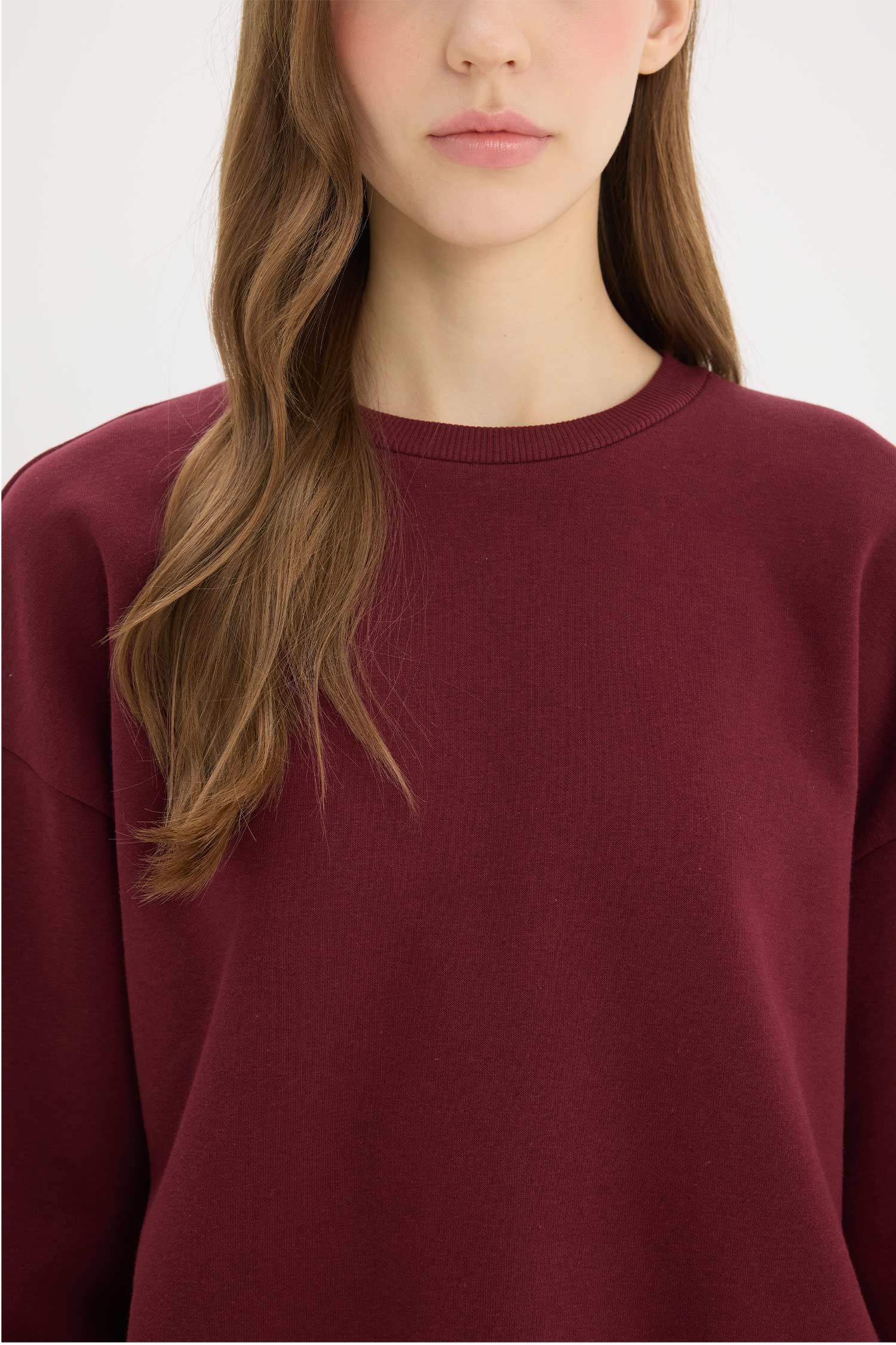 Regular Fit Crew Neck Thick Basic Sweatshir