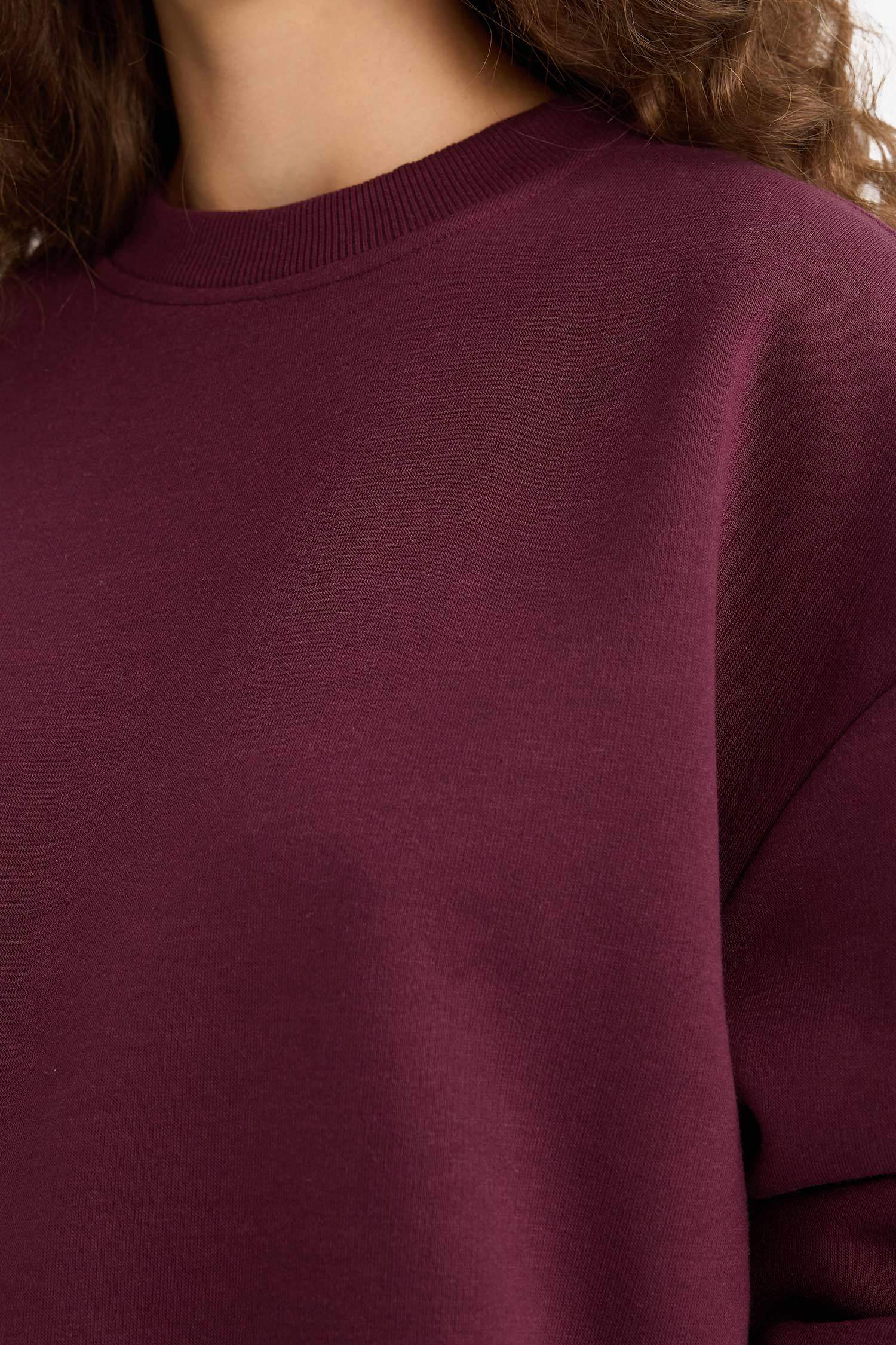 Regular Fit Bisiklet Yaka Kalın Sweatshirt