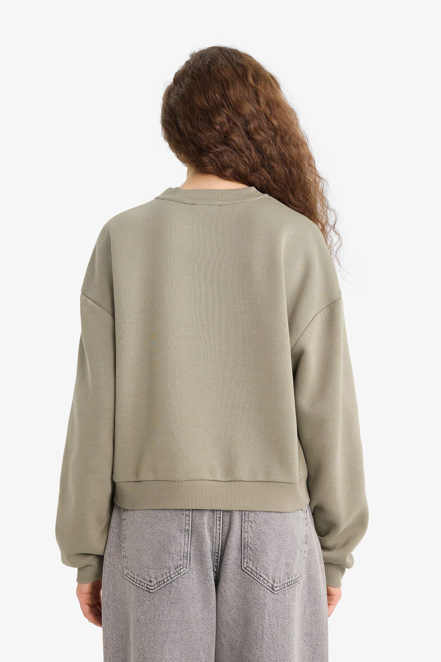 سويت شيرت ثقيل قصة عادية بياخة مستديرة