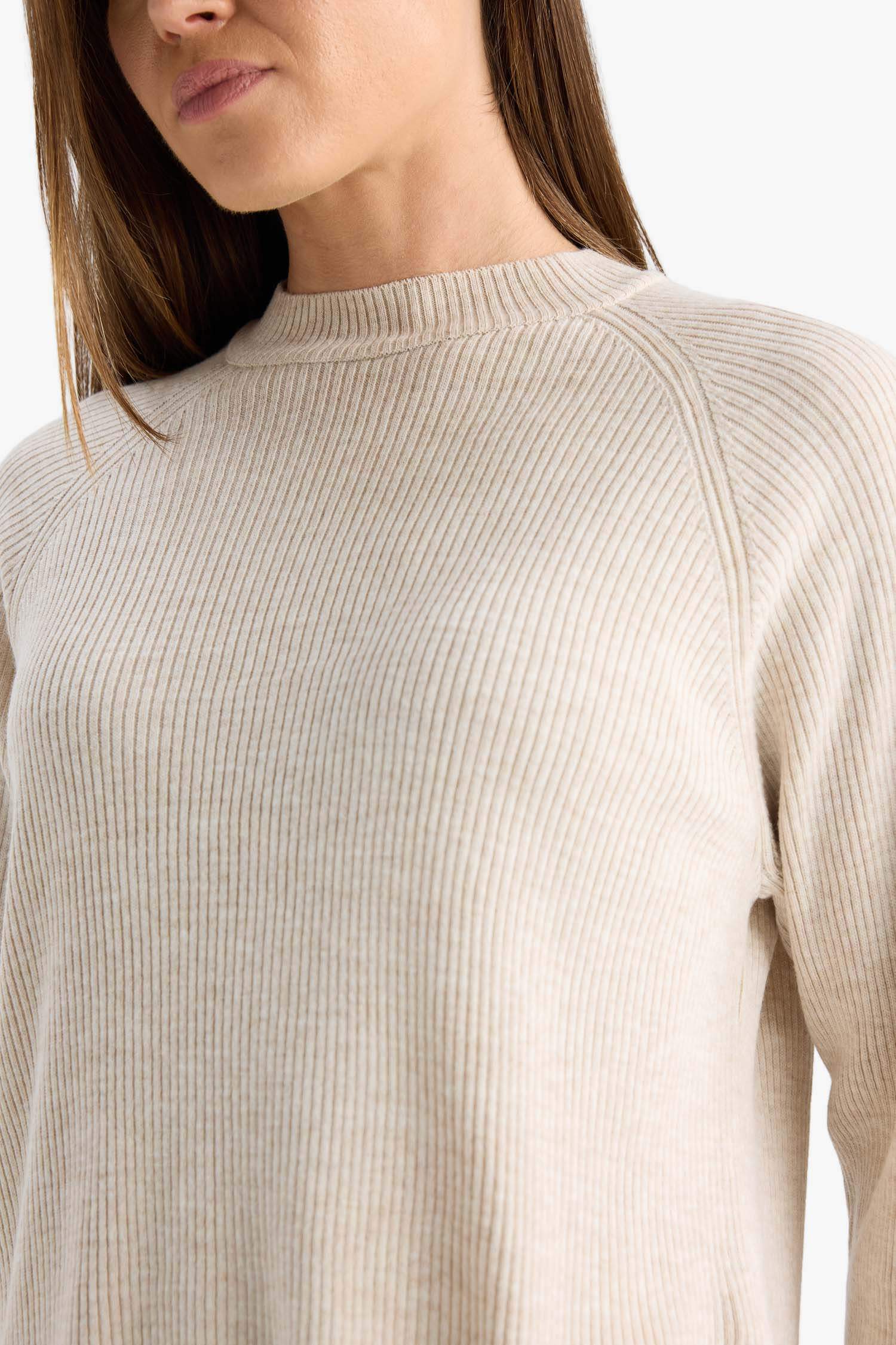 Regular Fit Bisiklet Yaka Basic Düz Triko Kazak