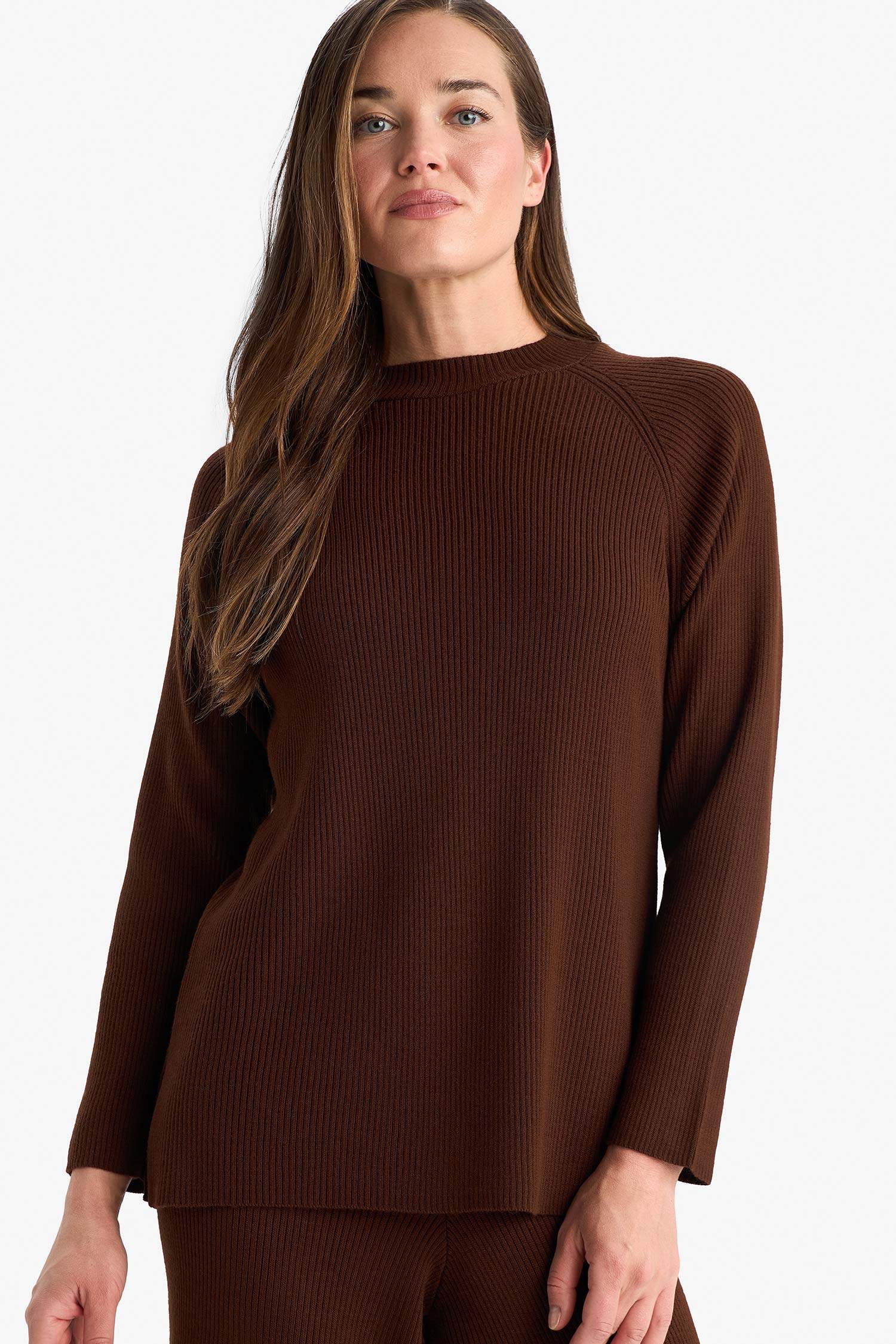 Regular Fit Bisiklet Yaka Basic Düz Triko Kazak