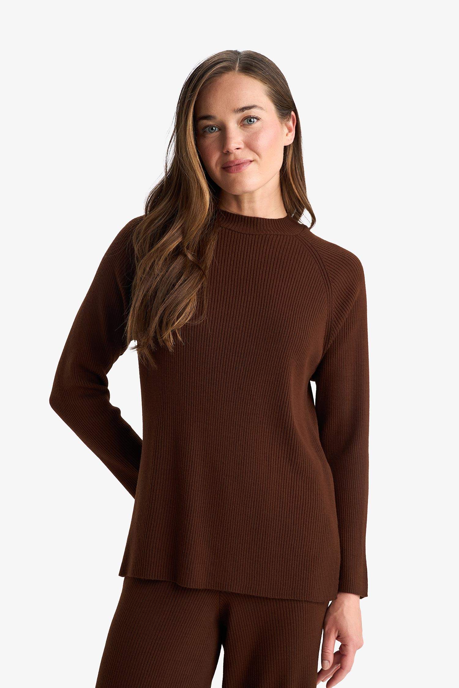 Regular Fit Bisiklet Yaka Basic Düz Triko Kazak