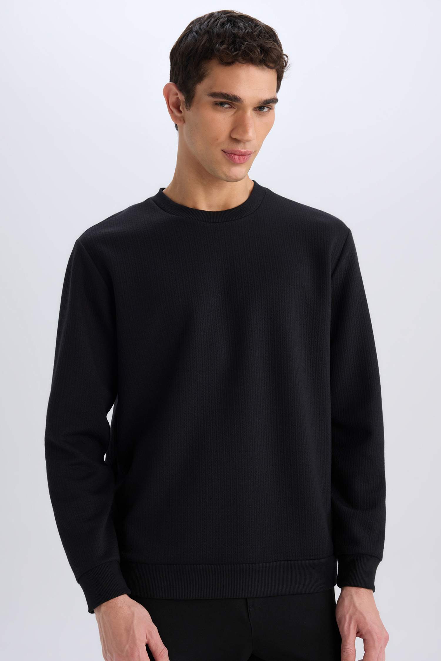 Regular Fit Bisiklet Yaka Basic Düz Sweatshirt