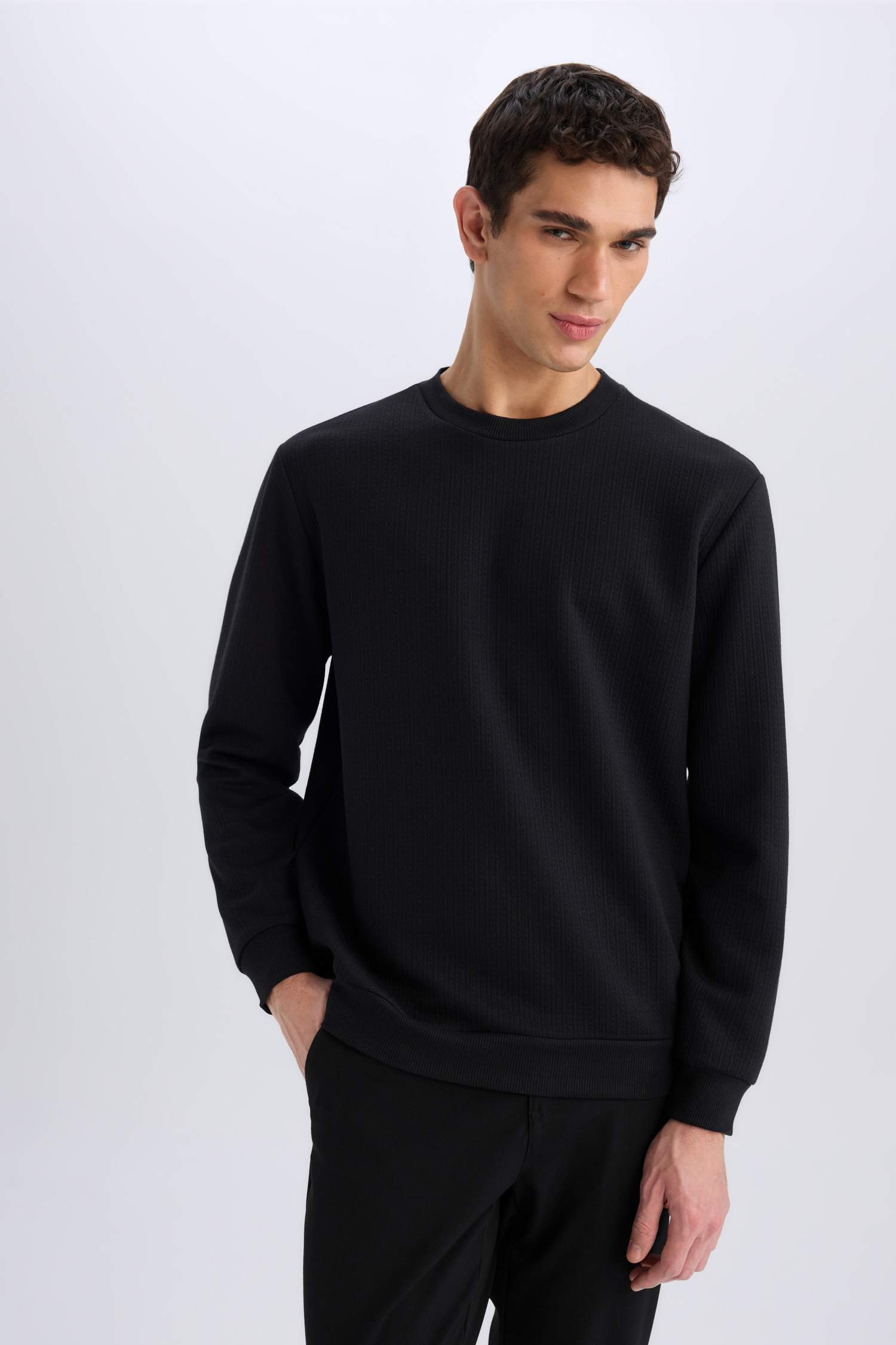 Regular Fit Bisiklet Yaka Basic Düz Sweatshirt