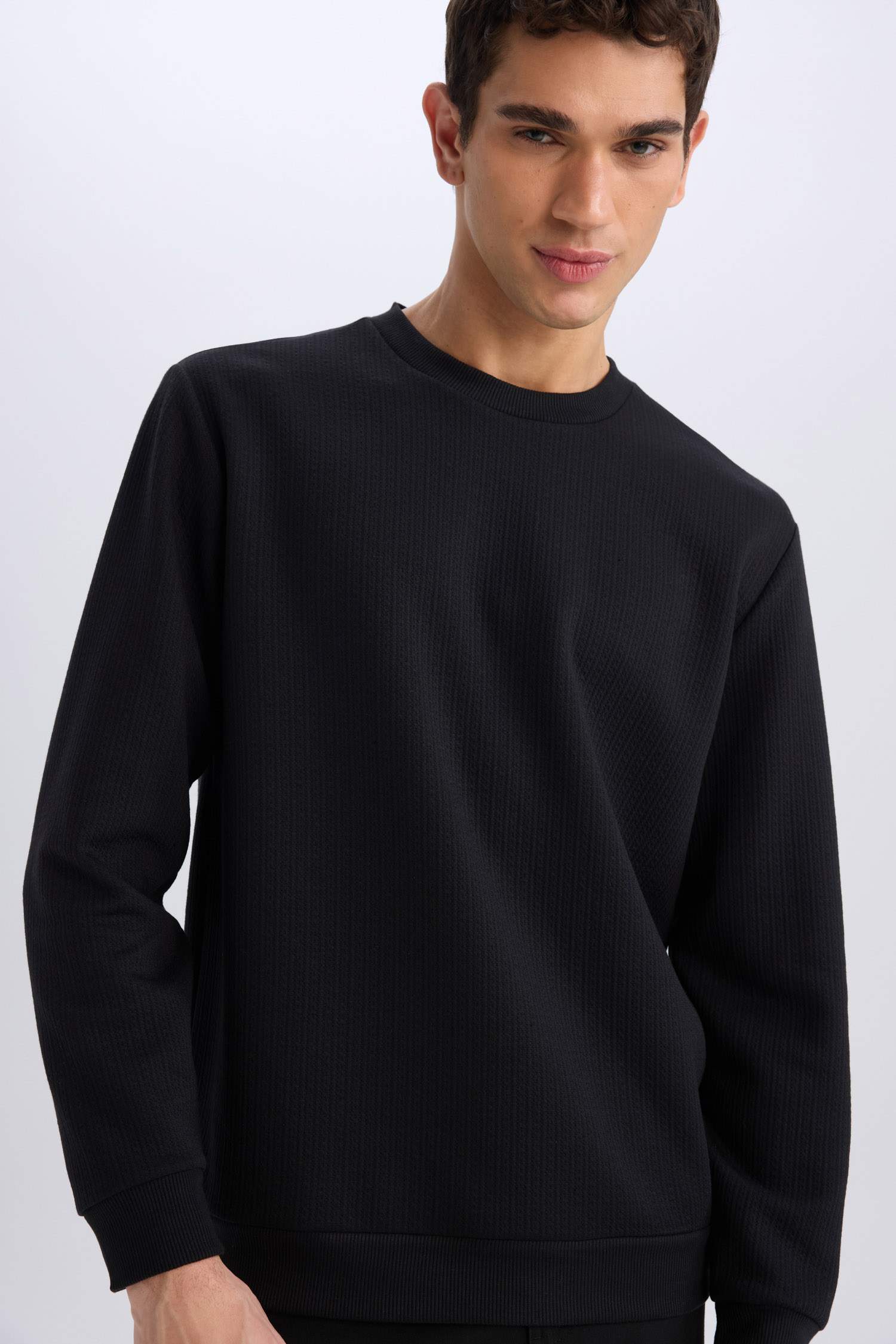 Regular Fit Bisiklet Yaka Basic Düz Sweatshirt