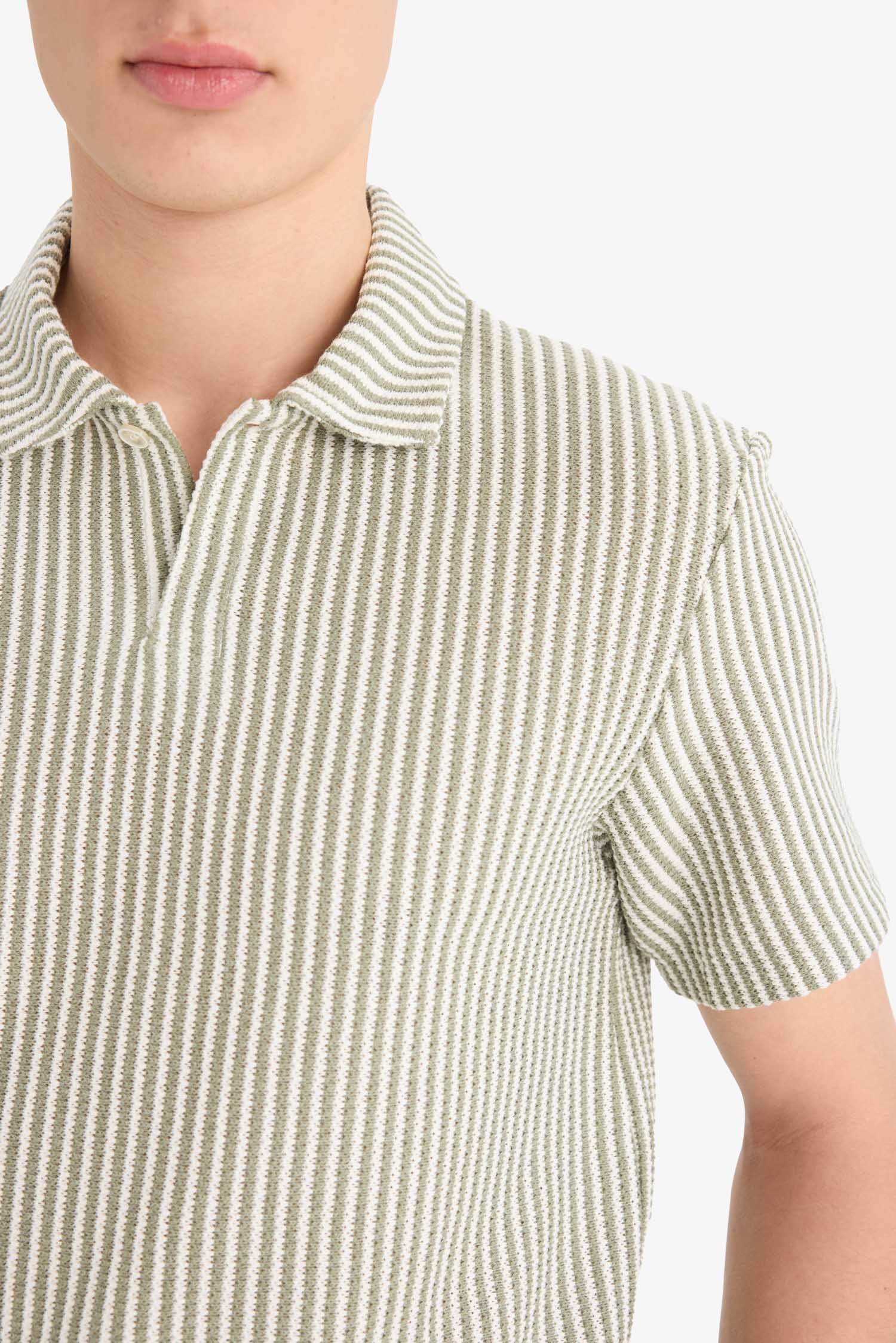 Regular Fit Polo Yaka Çizgili Kısa Kollu Tişört