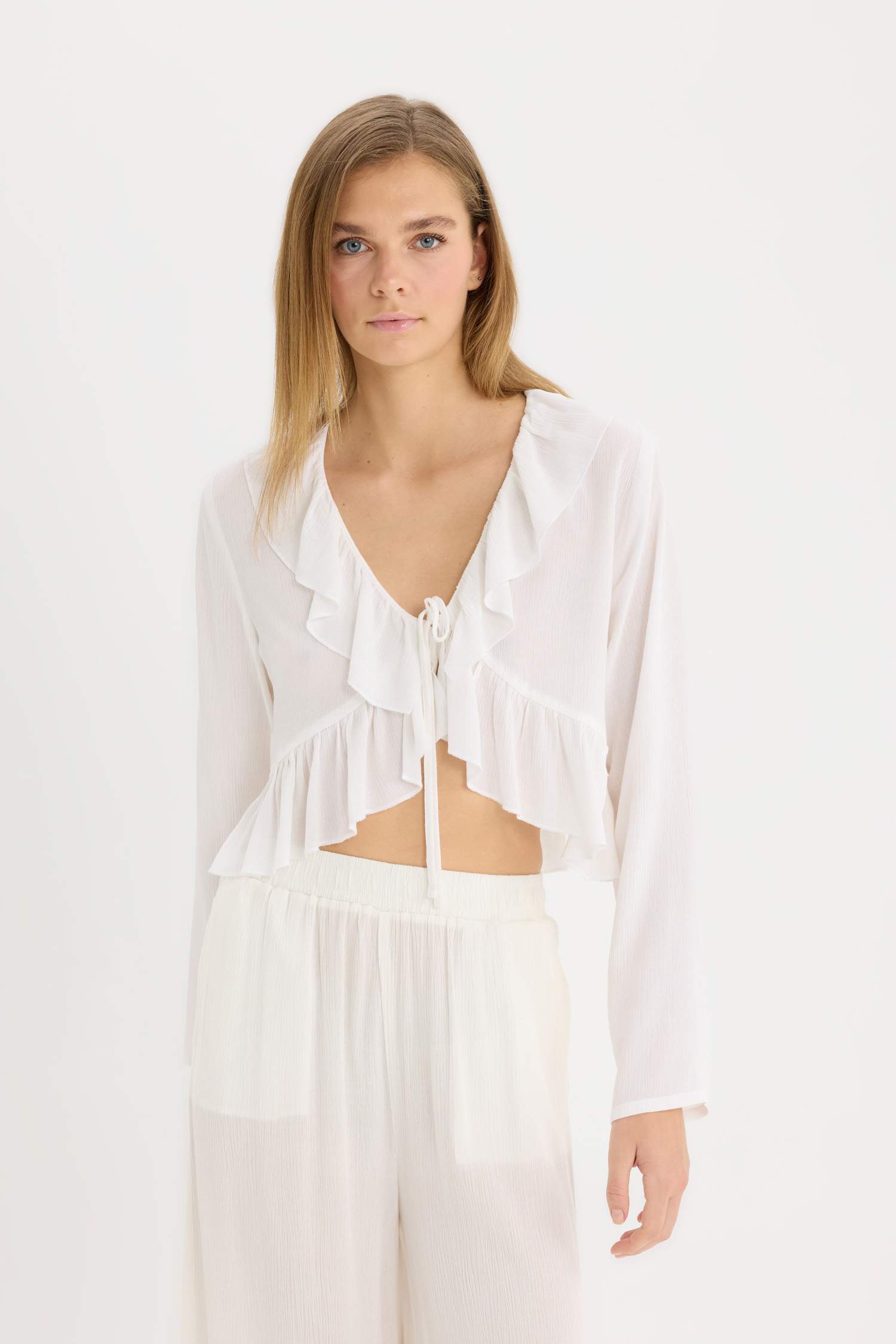 Regular Fit V-Neck Long Sleeve Blouse