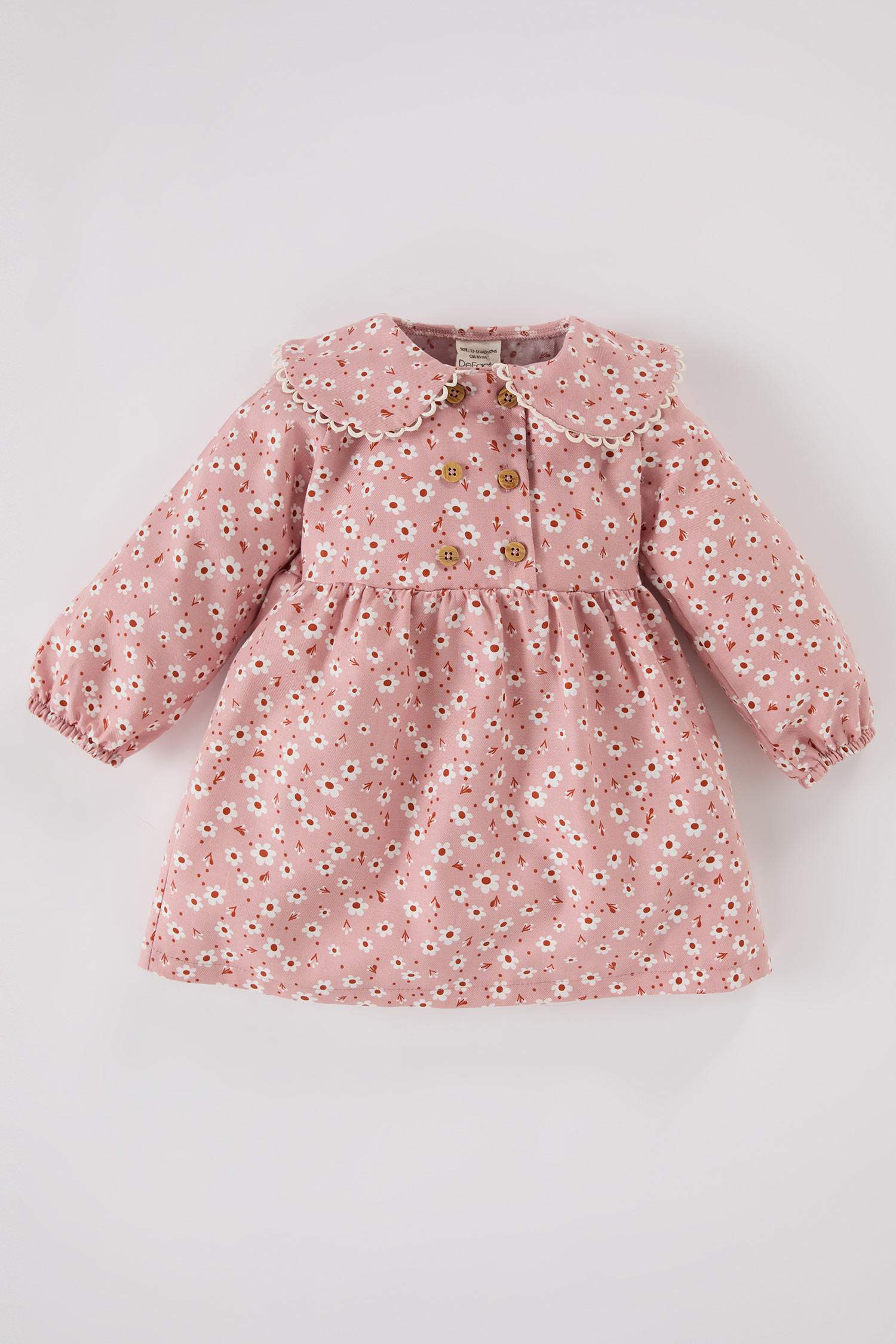 Baby Girl Floral Long Sleeve Flannel Dress