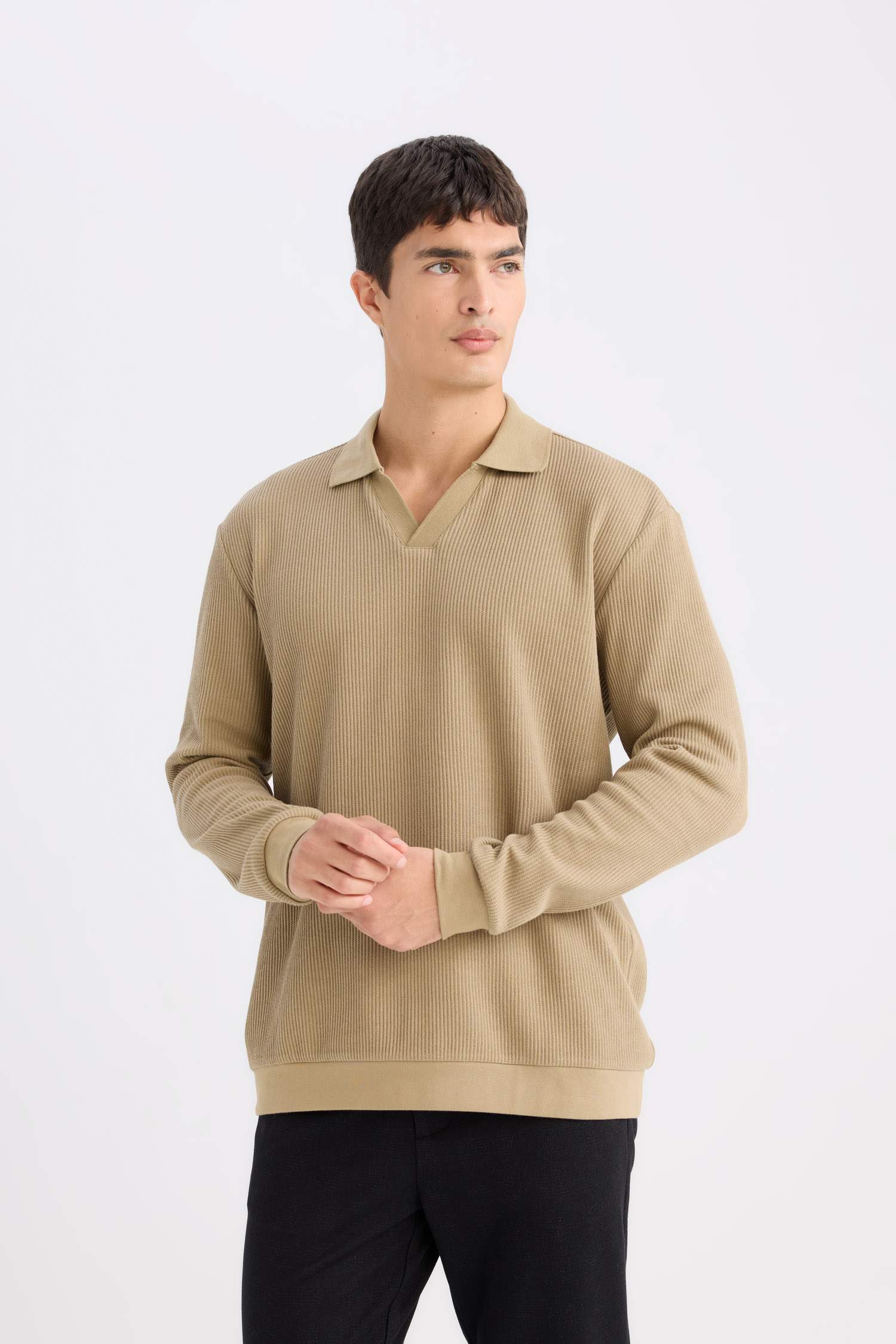 Regular Fit Polo Yaka Sweatshirt