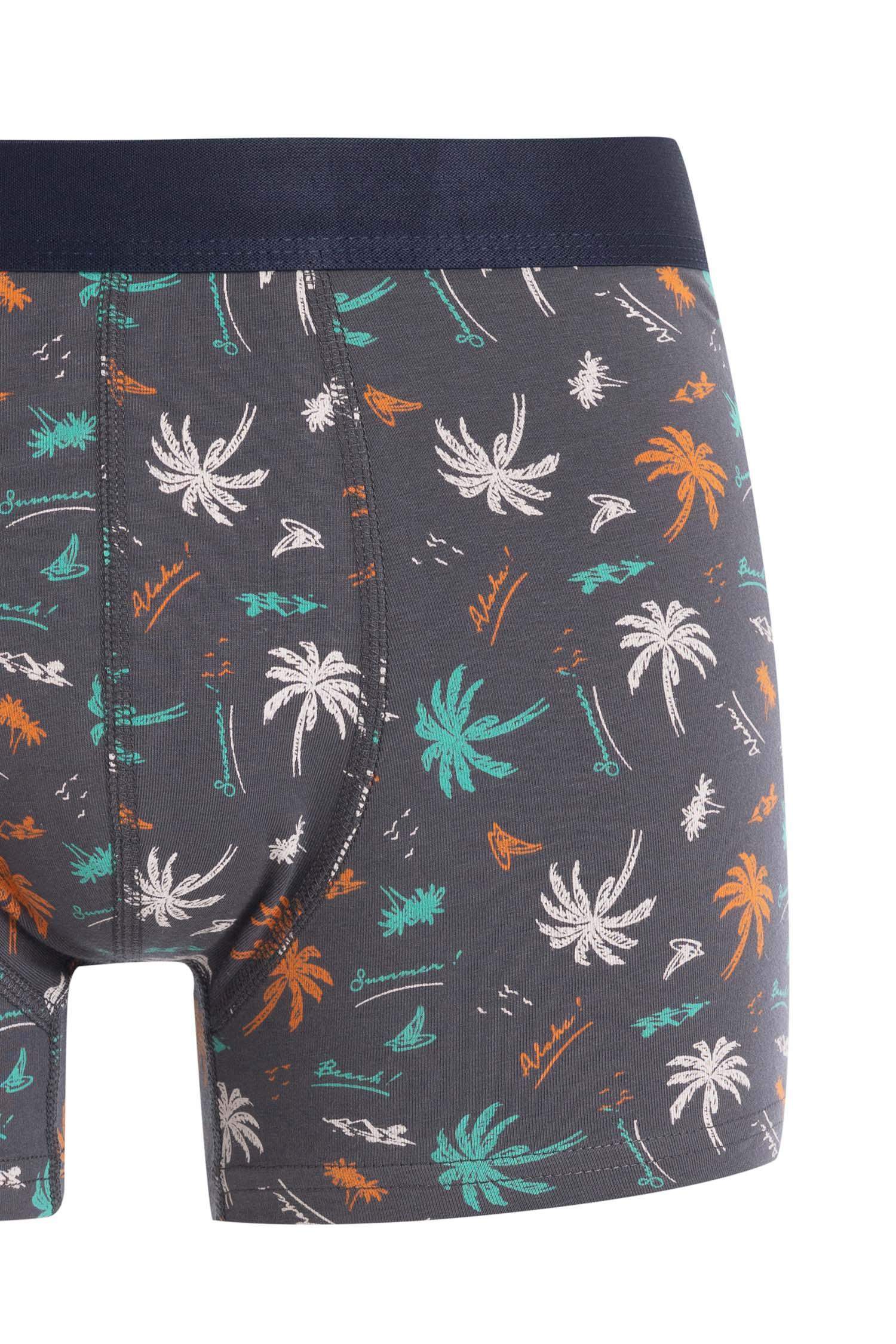 Regular Fit 3'lü Boxer