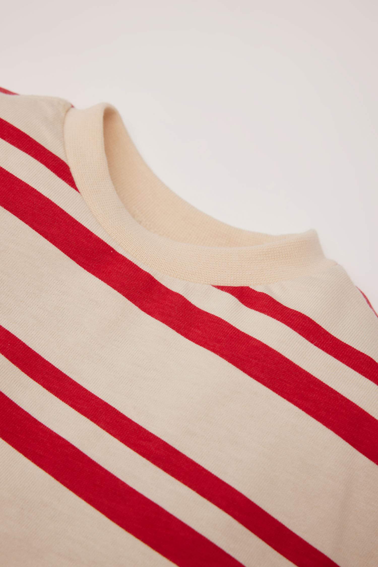 Baby Boy Regular Fit Crew Neck Striped T-Shirt