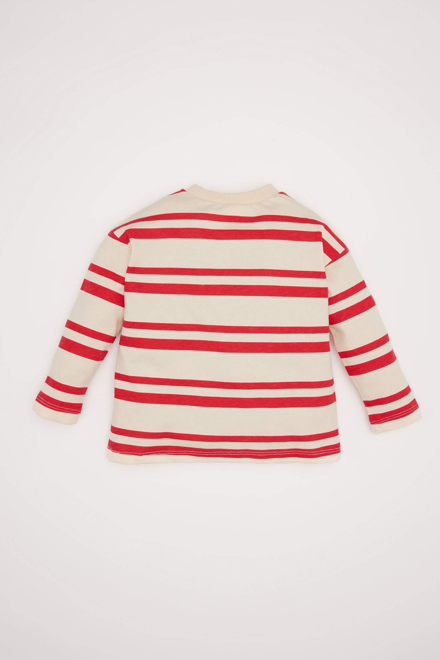 Baby Boy Regular Fit Crew Neck Striped T-Shirt