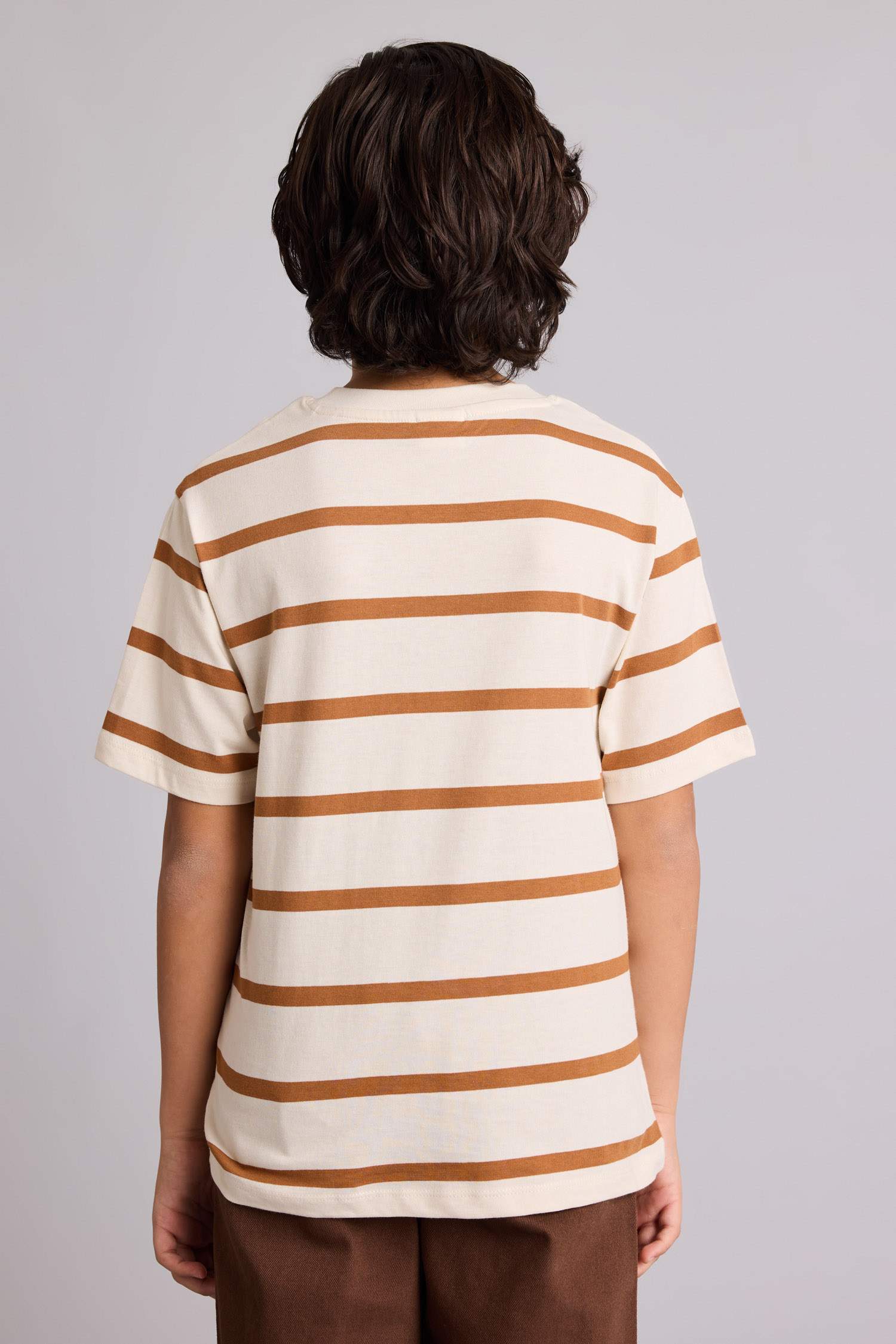 Brown BOYS & TEENS Boy Regular Fit Striped Short Sleeve T-Shirt